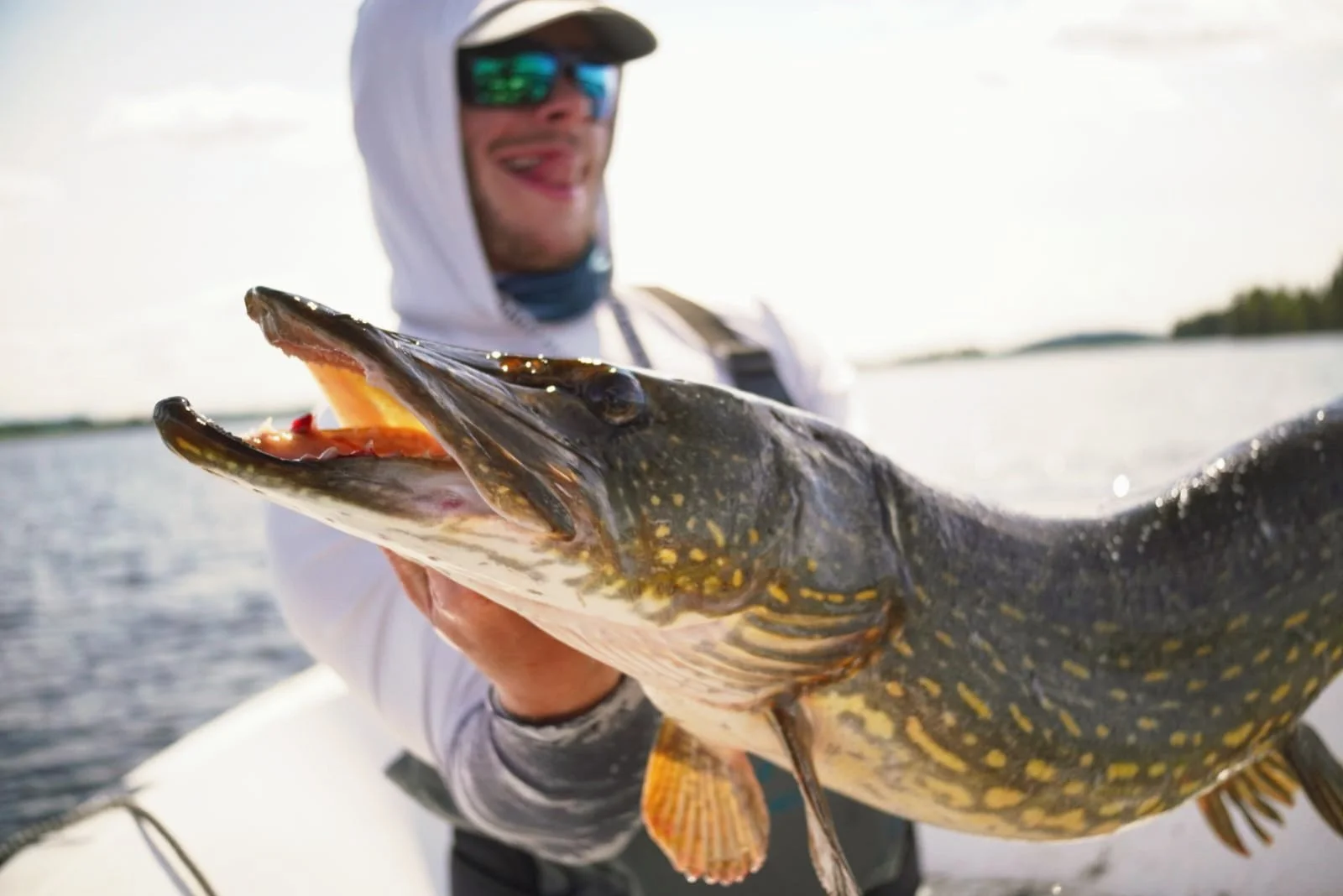 brochet métré, meter pike