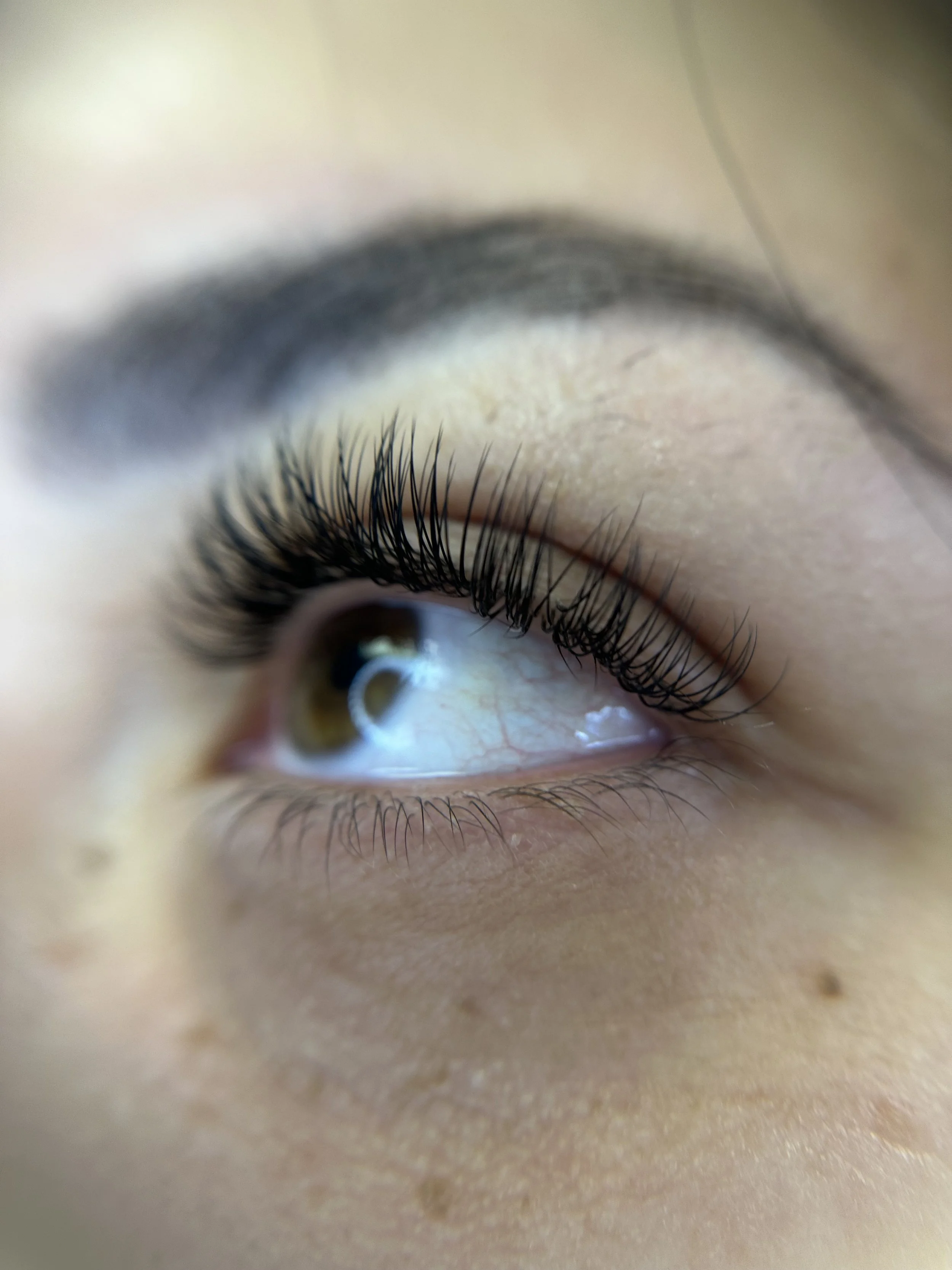 Close-up of a Classic lash extension set, visible brown iris, and skin around the eye.
