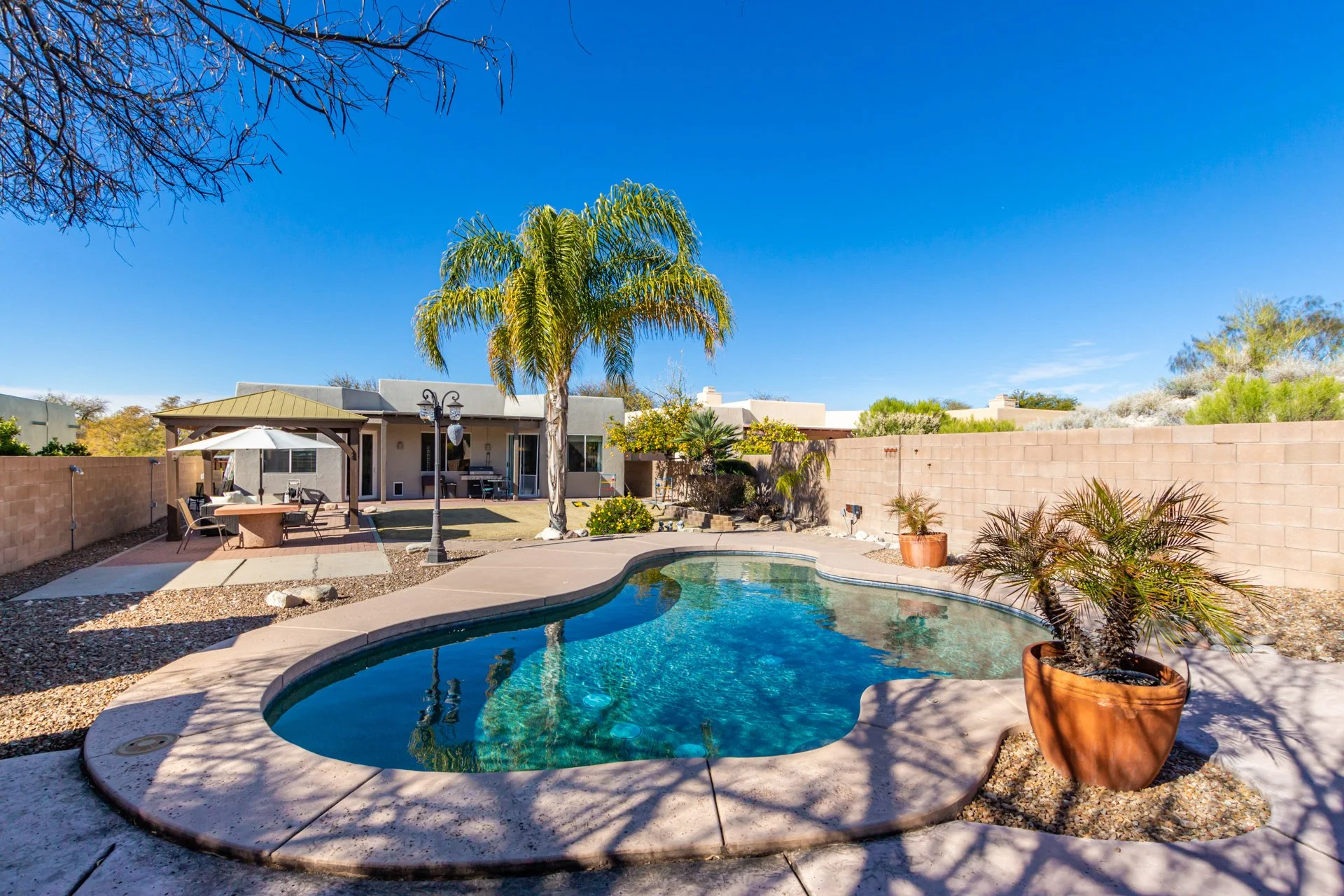 Residential backyard with a swimming pool, palm trees, outdoor furniture, and a house in the background under a clear blue sky.