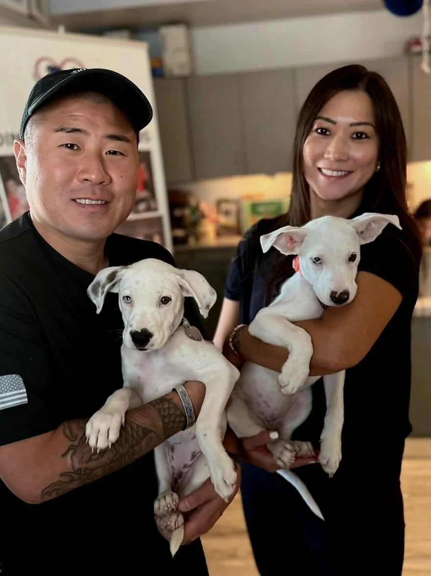 Man and woman smiling while holding two white puppies indoors.