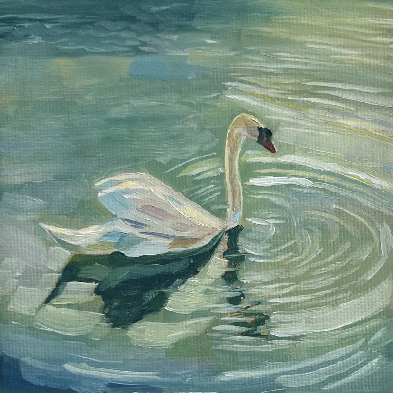 oil study (swan II), 4x4", 2026