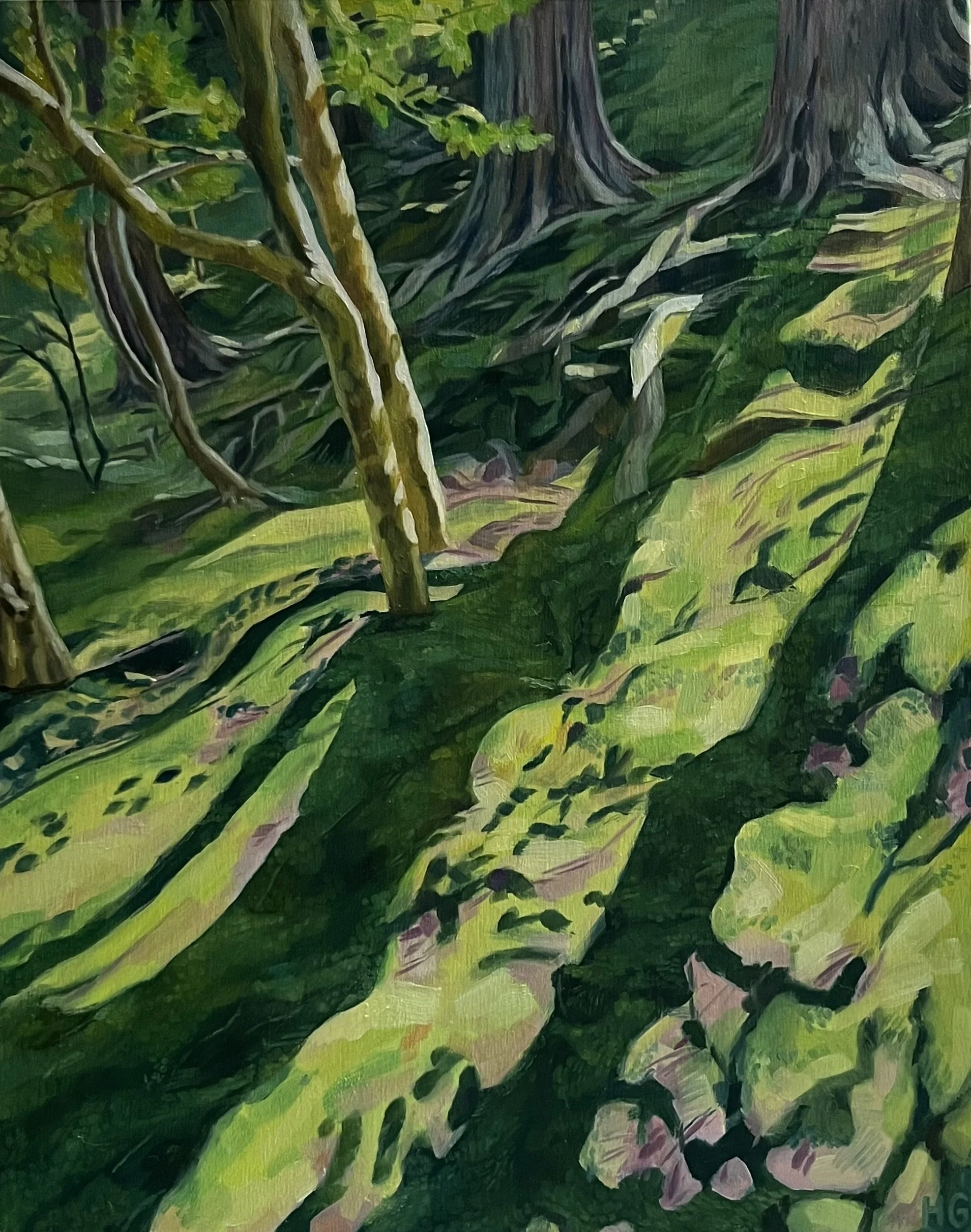 Trees, moss and light