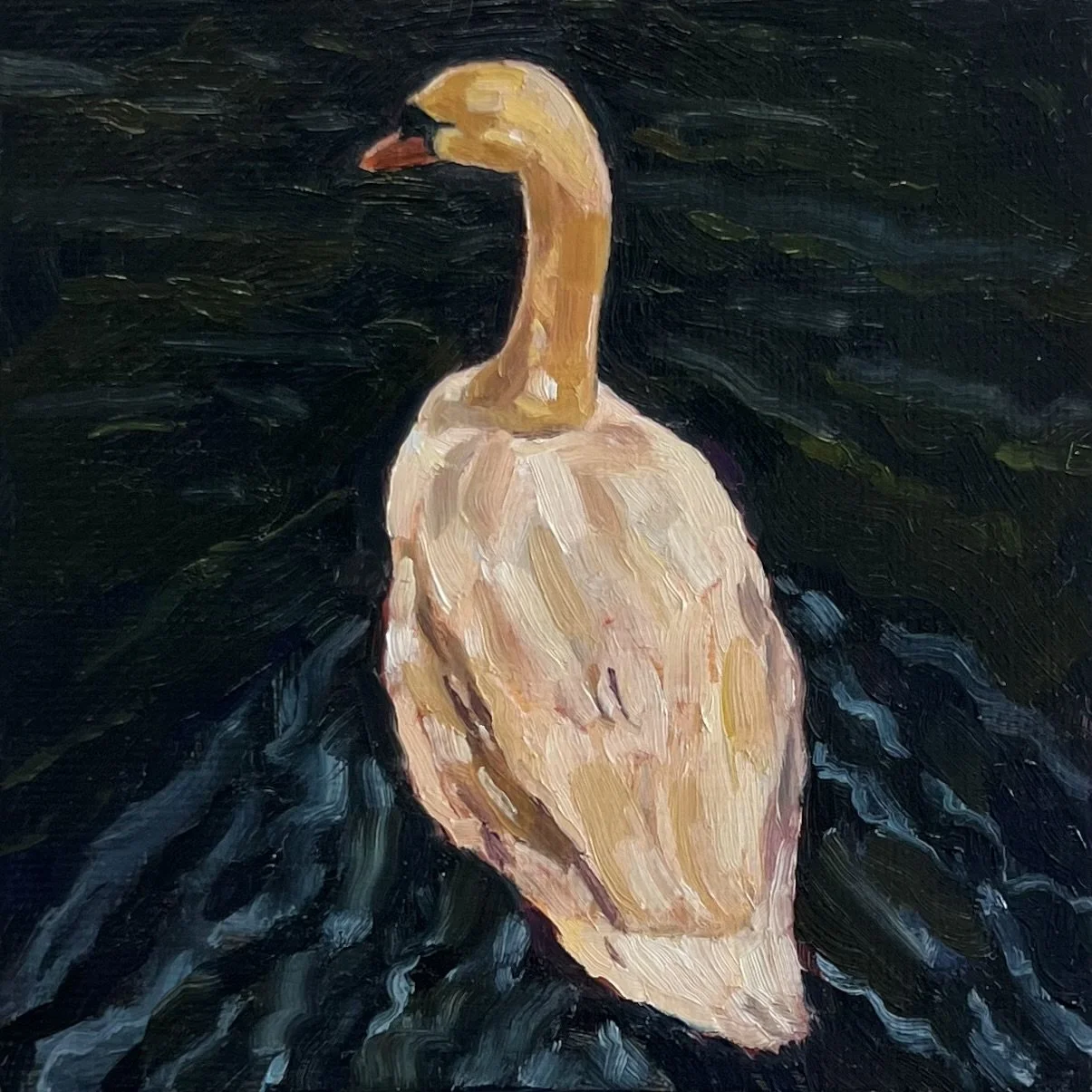 oil study (swan I), 4x4", 2026