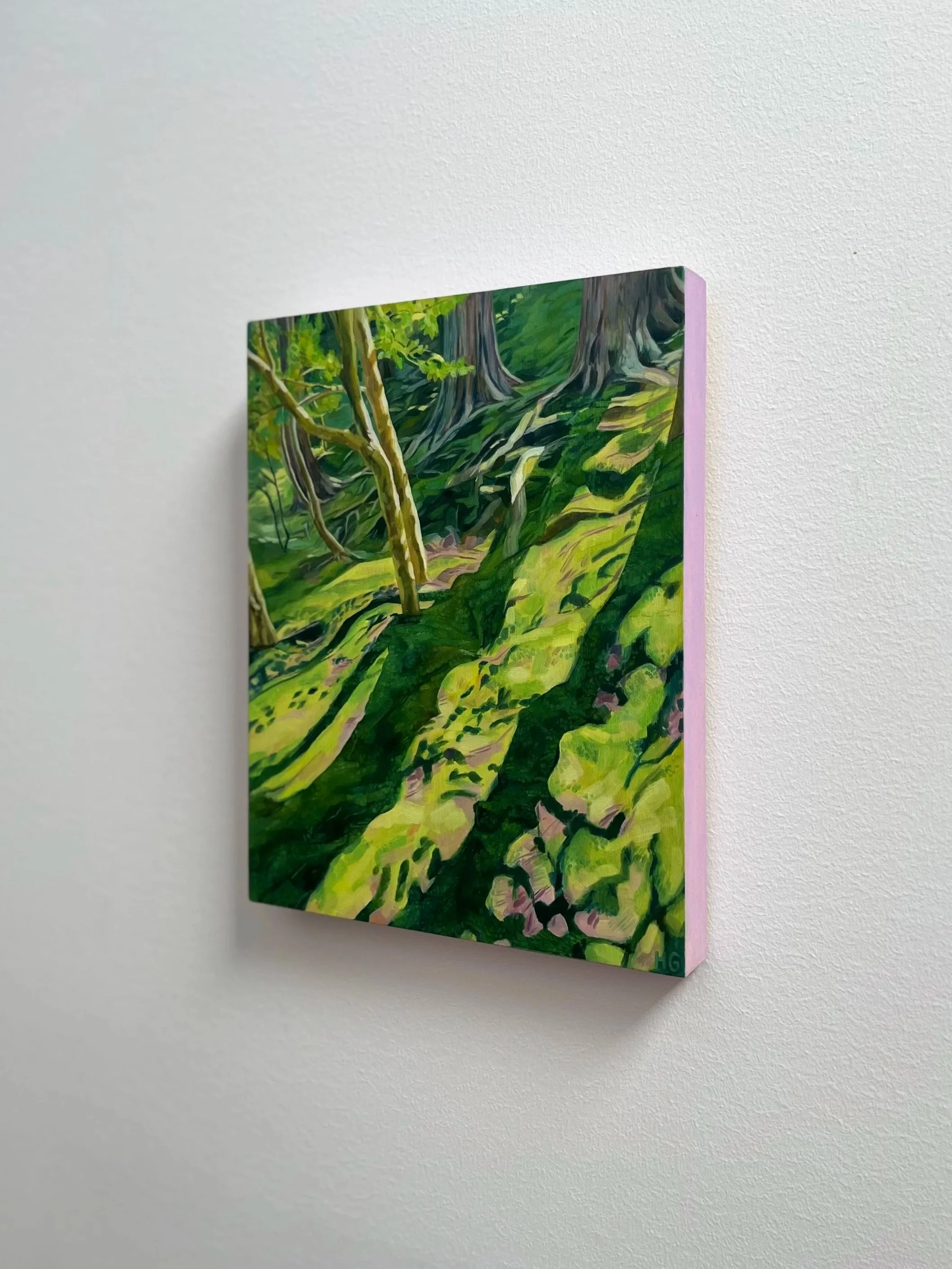 Trees, moss and light