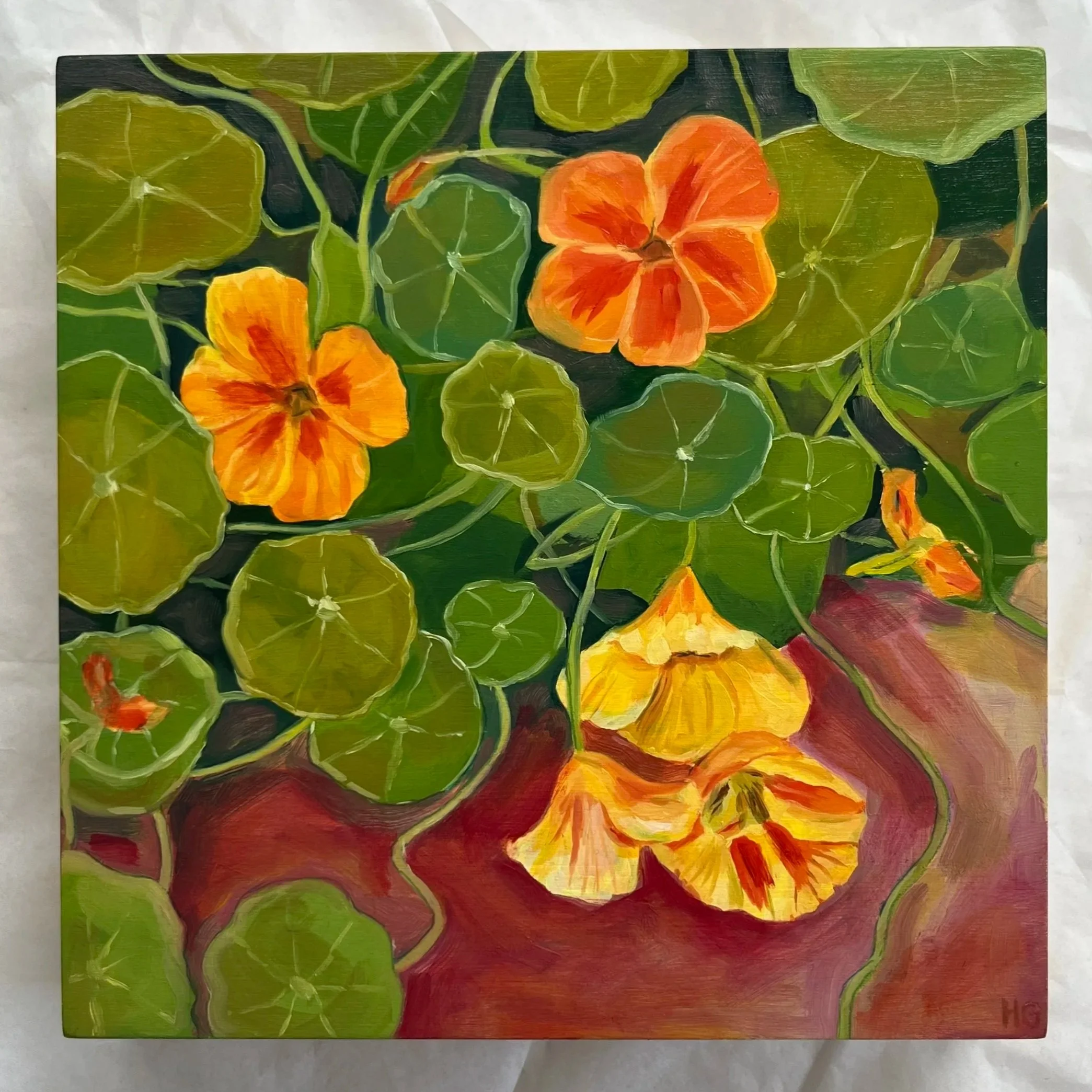 Nasturtiums II
