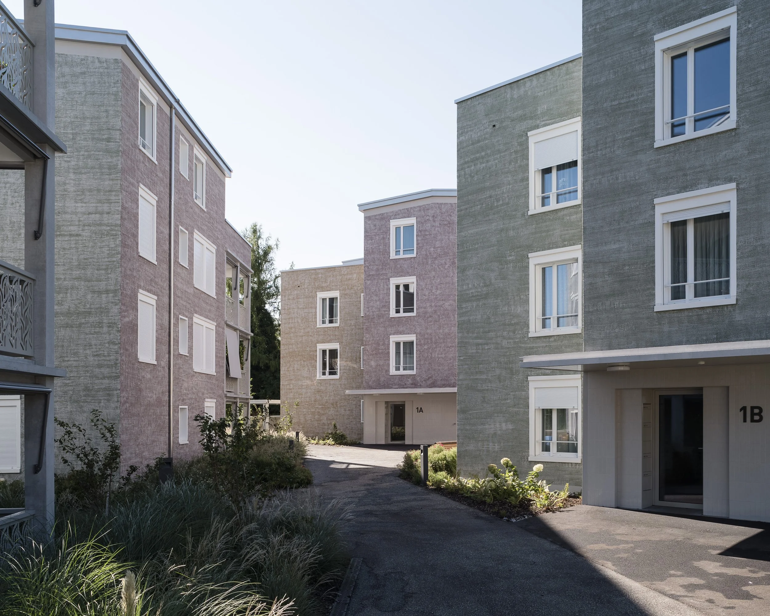 Wohnhäuser in Grabs. DEON Architekten. 2017.