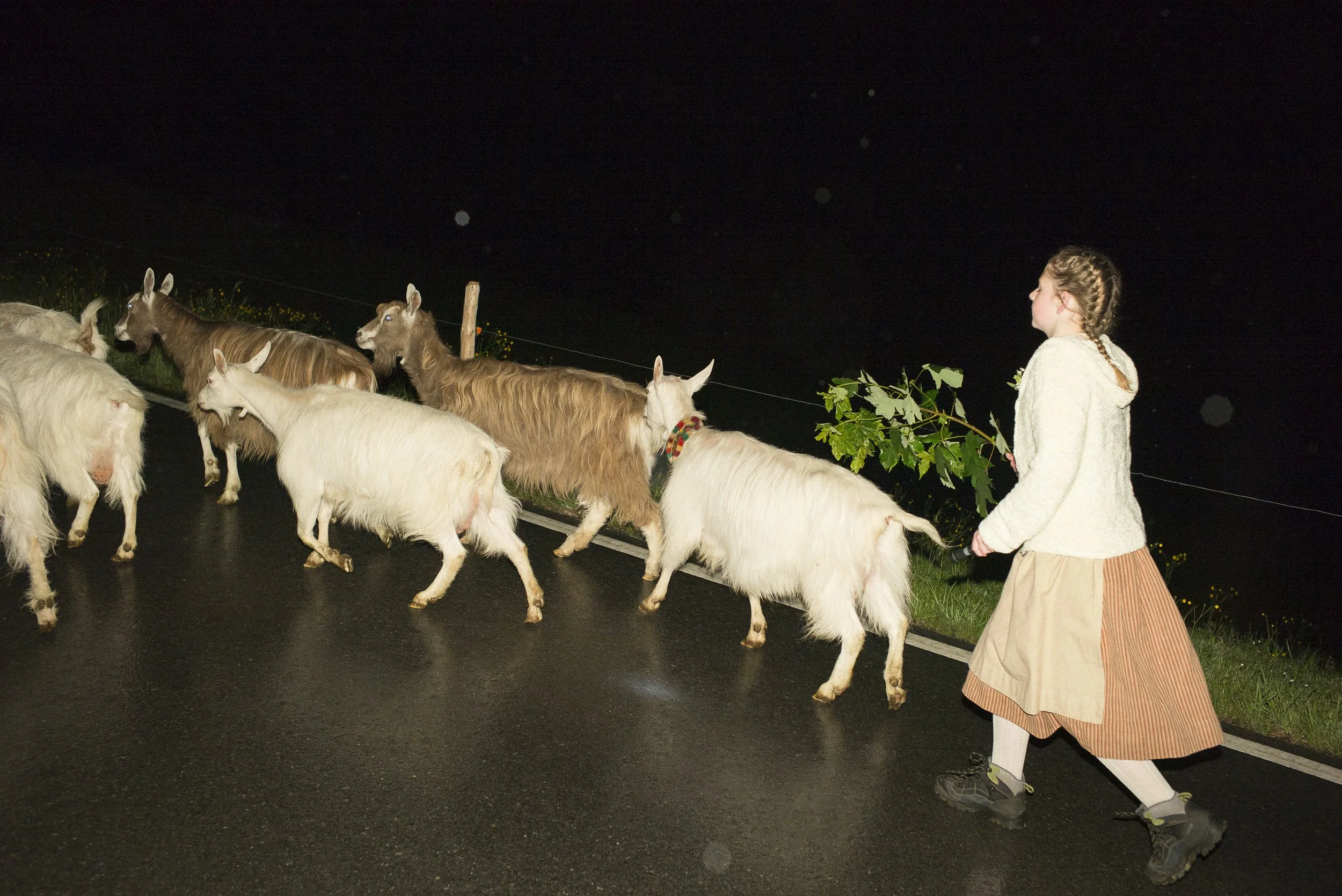 Alpaufzug im Appenzellerland. 2014.