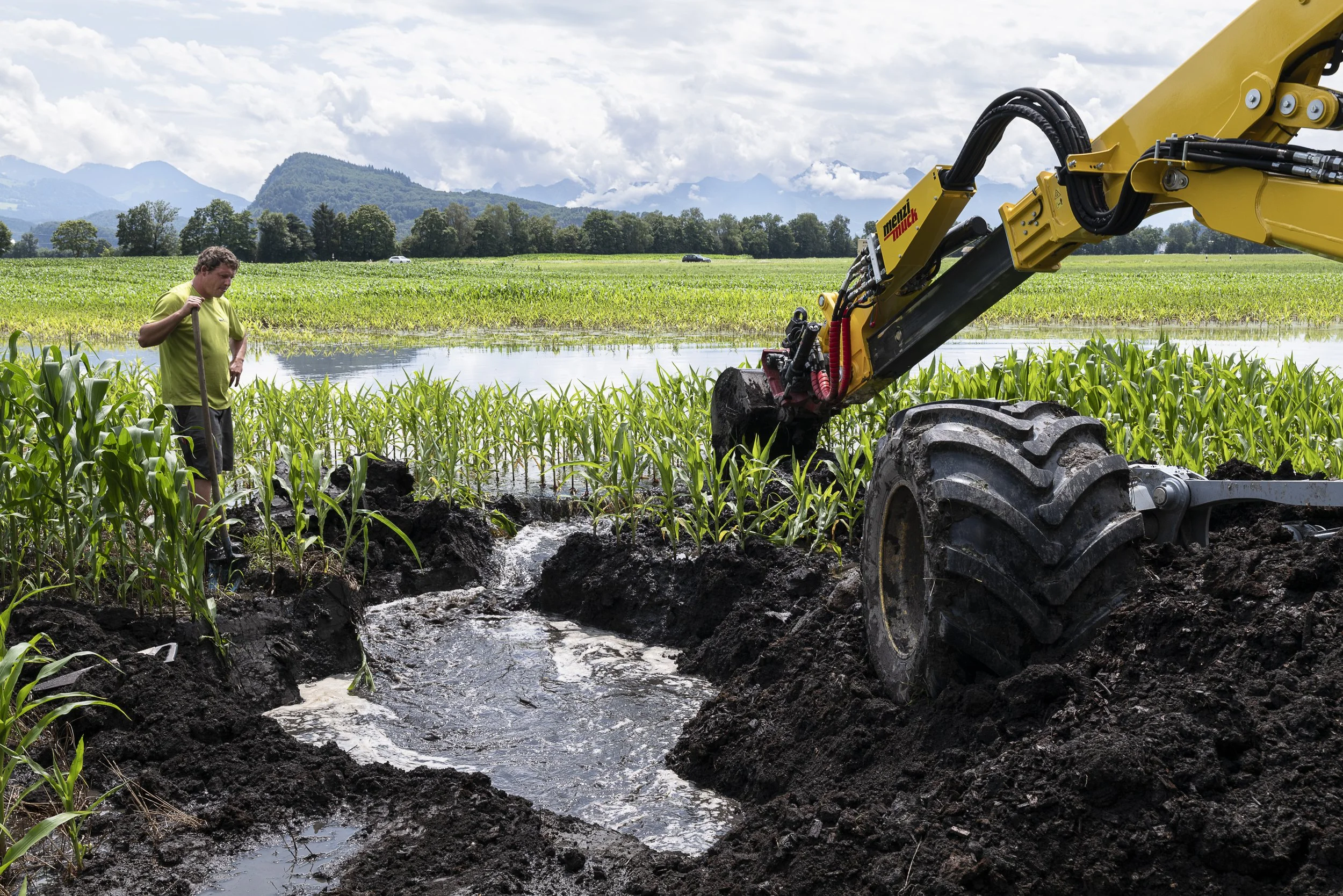 Unterhaltsarbeiten im Riet. 2025