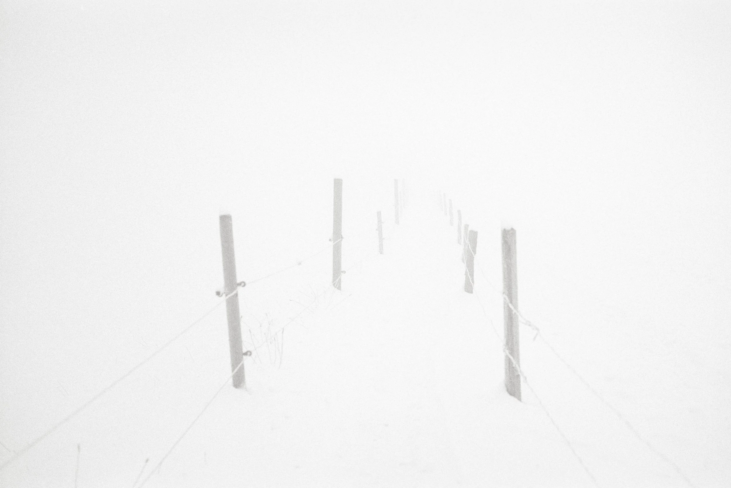 Weiss. 2012. 80 x 120 cm. Silbergelatine Barytabzug.