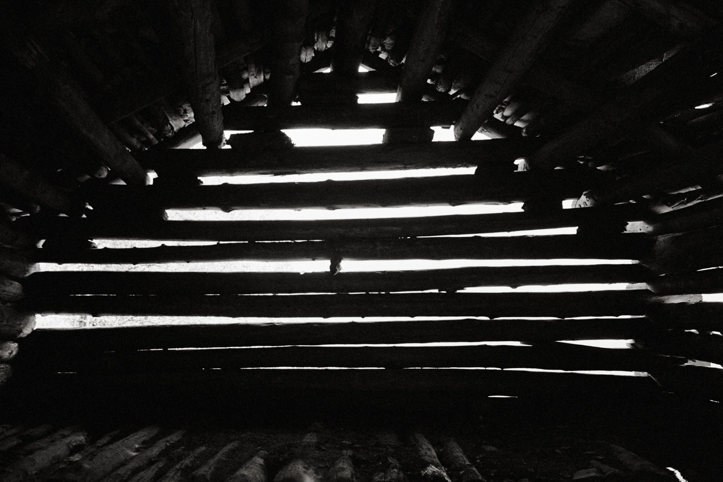 La stalla. 2015. 80 x 120 cm. Silbergelatine Barytabzug.