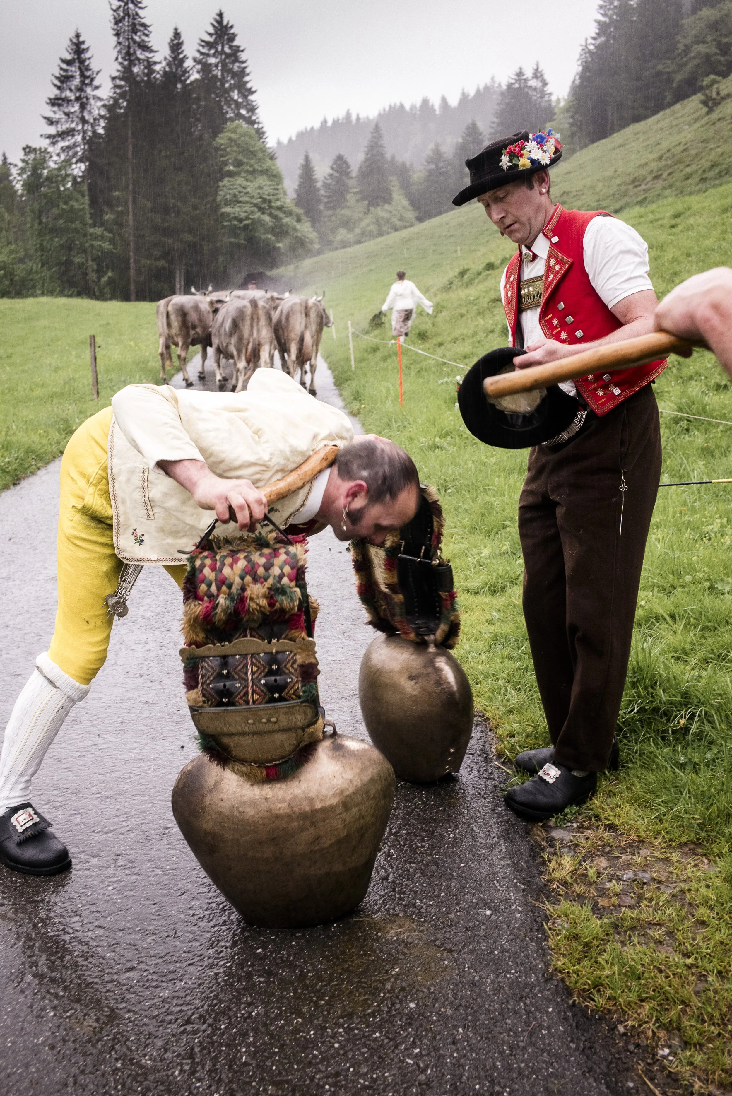 Alpaufzug im Appenzellerland. 2014.
