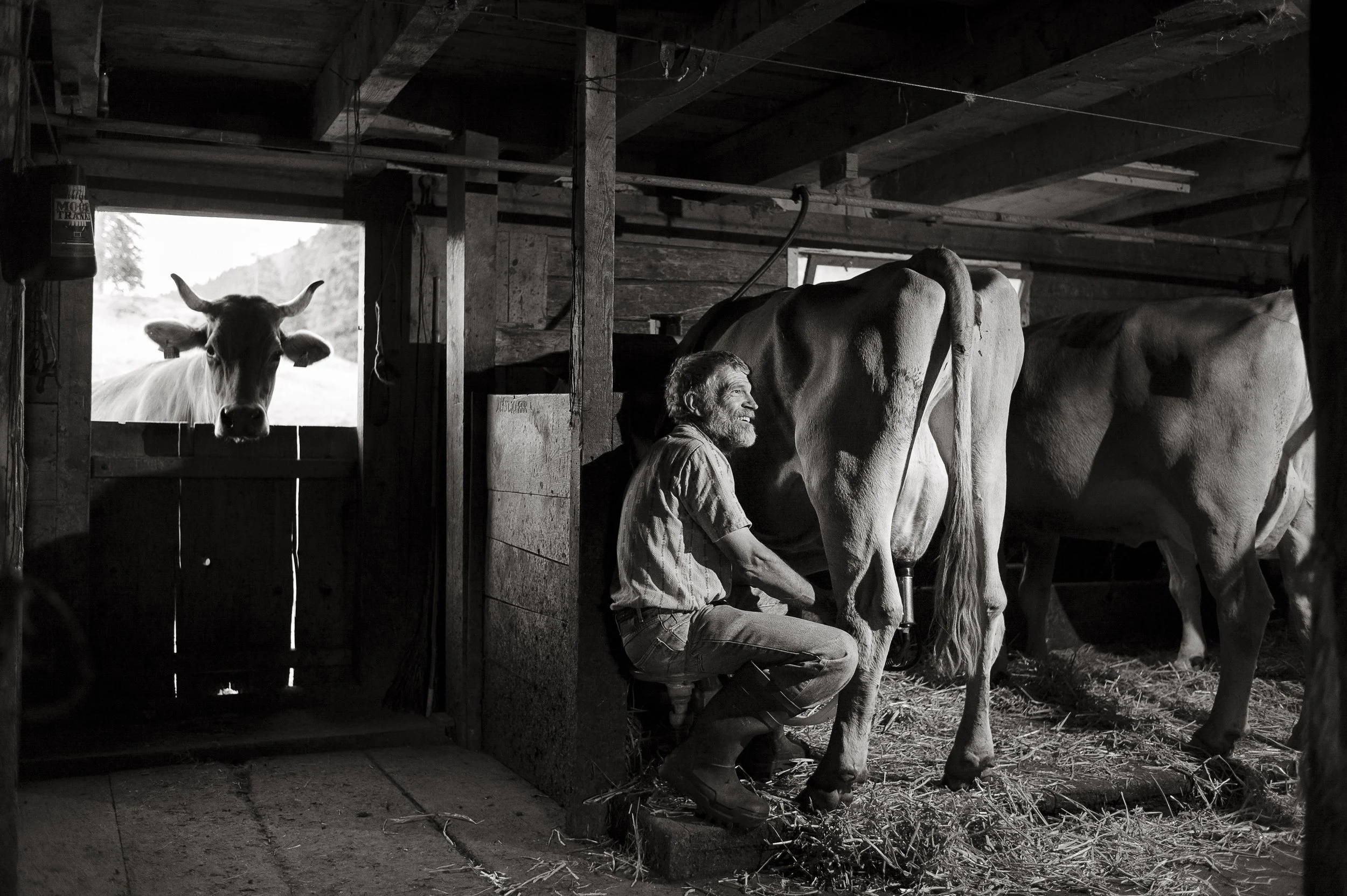 Bergmilch Toggenburg. 2013.