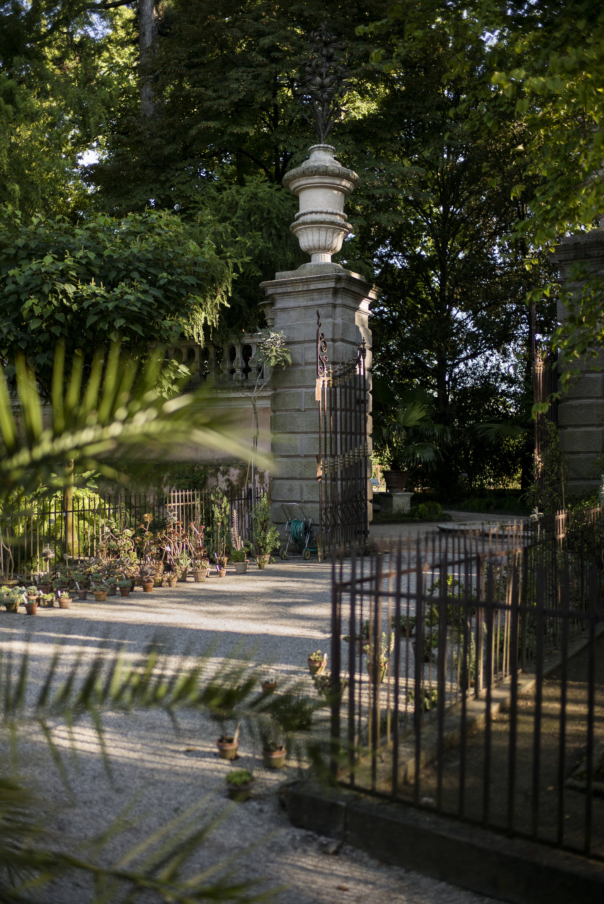 Orto botanico Padova. 2016.