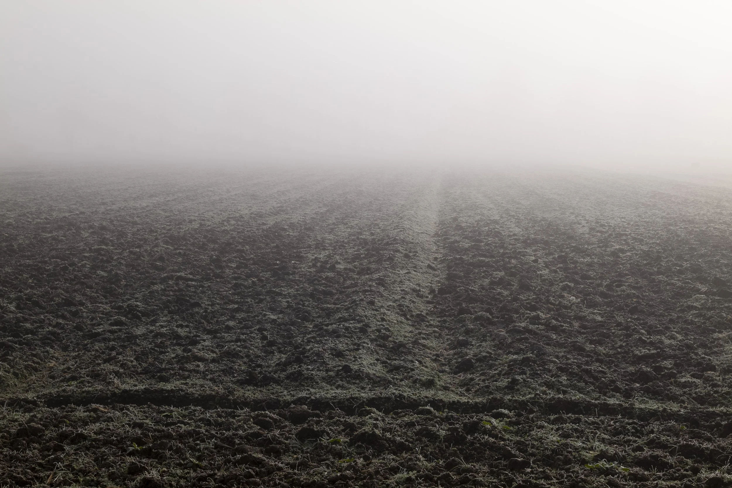 Das Riet. 2025
