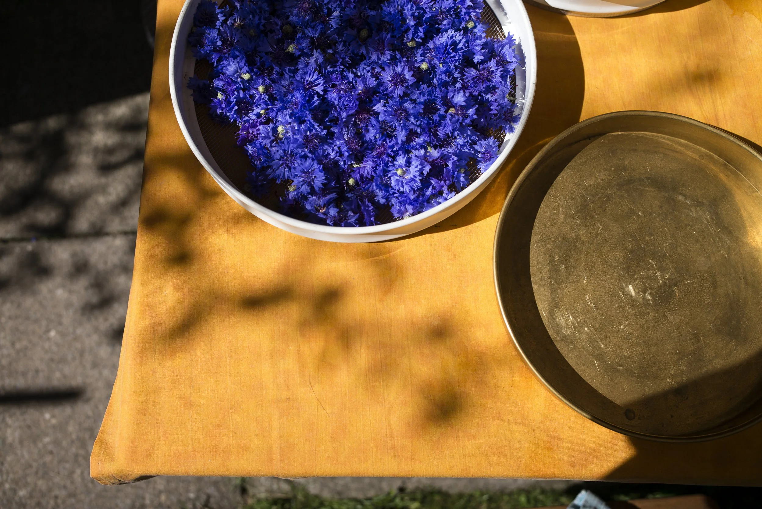 Bergbäuerinnen. 2016.