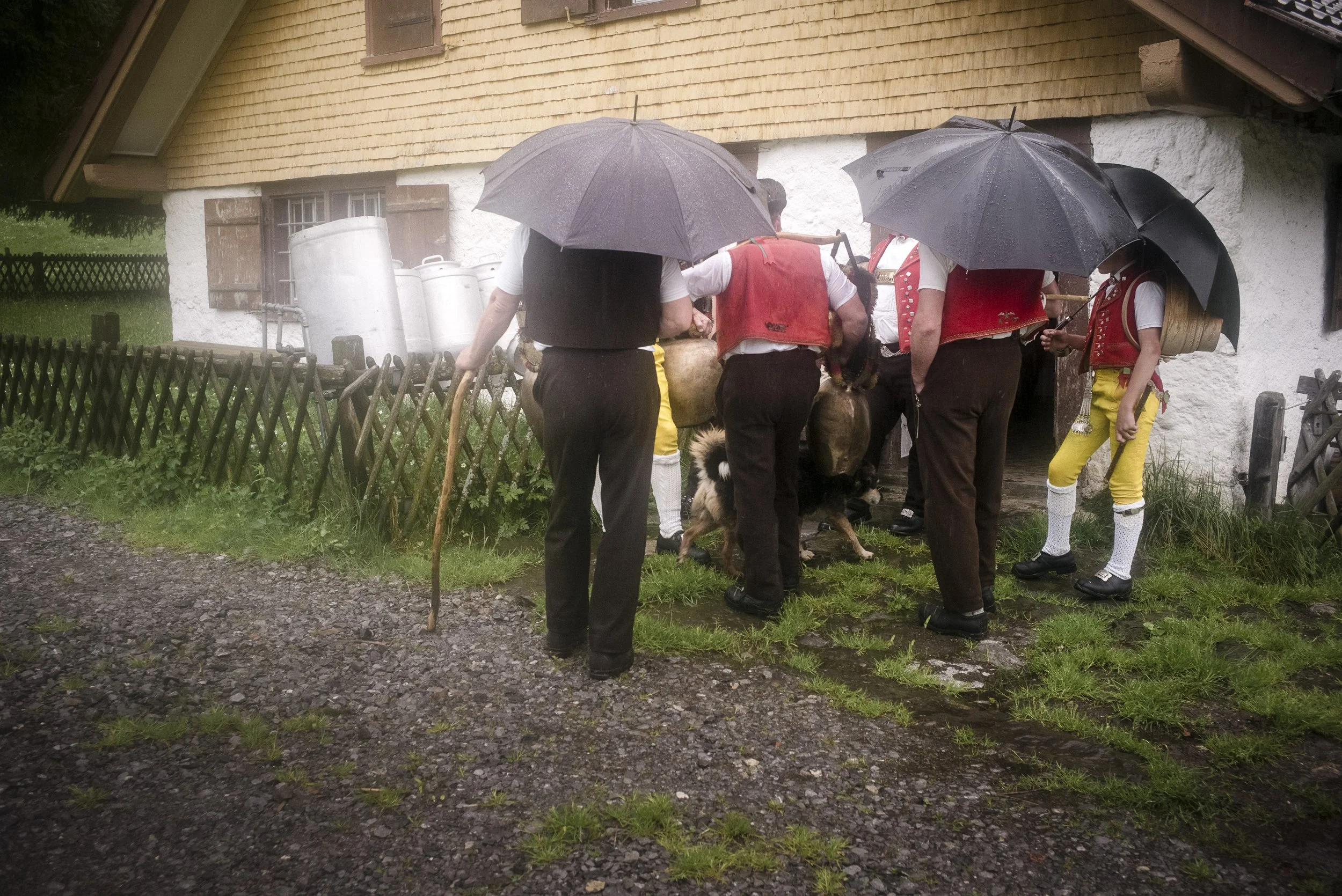 Alpaufzug im Appenzellerland. 2014.
