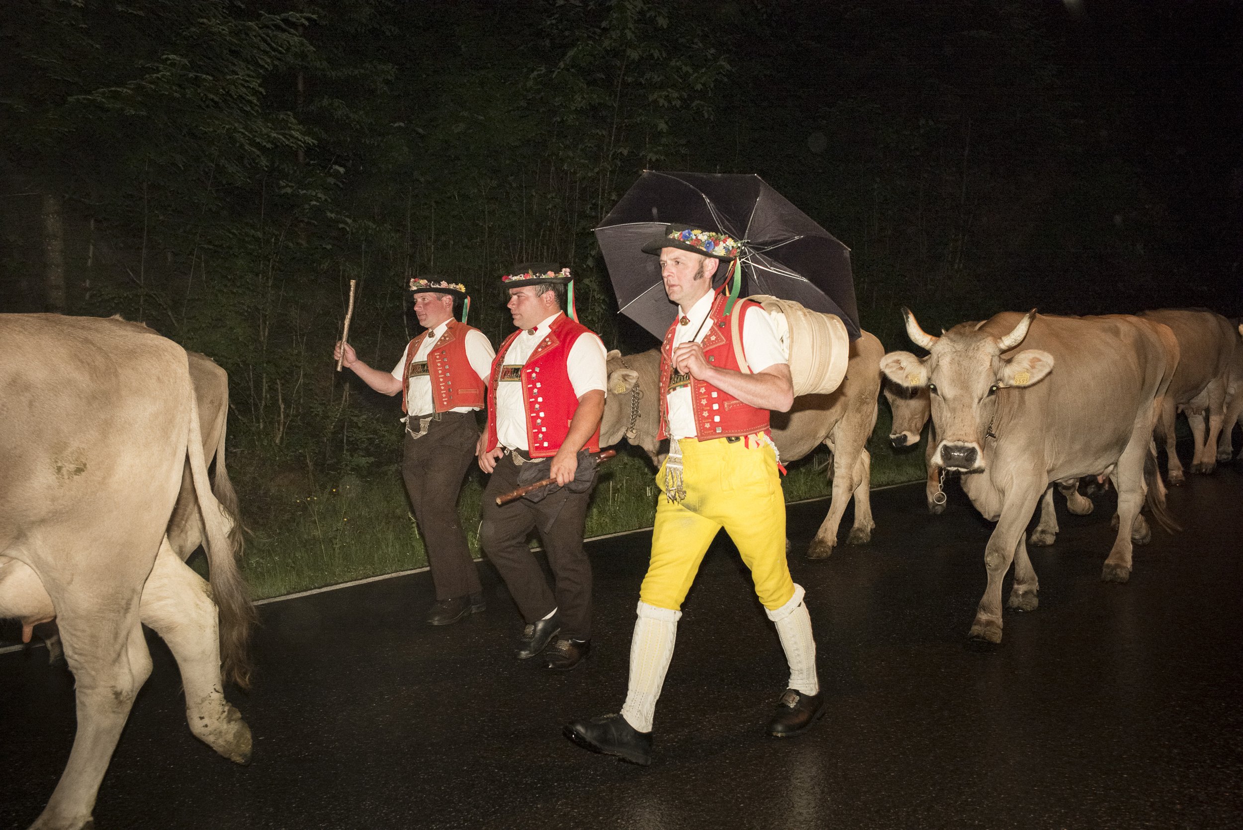 Alpaufzug im Appenzellerland. 2014.