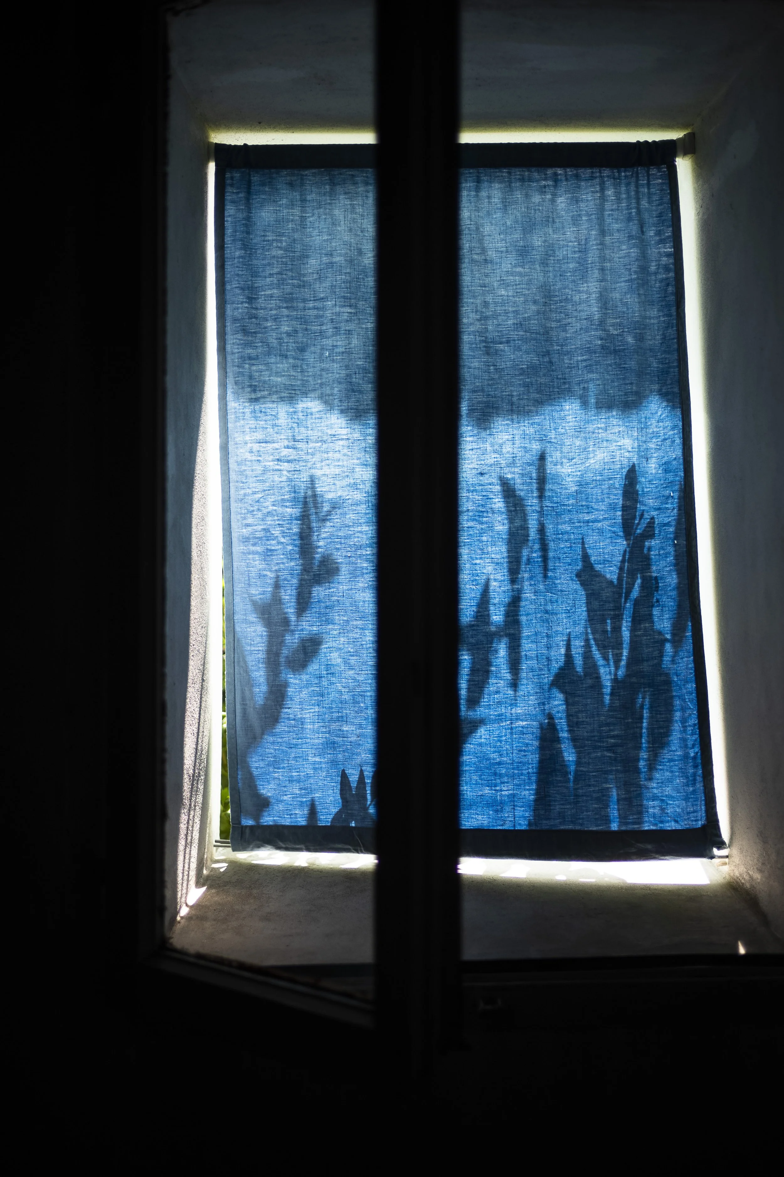 Il miracolo blu. 2018.