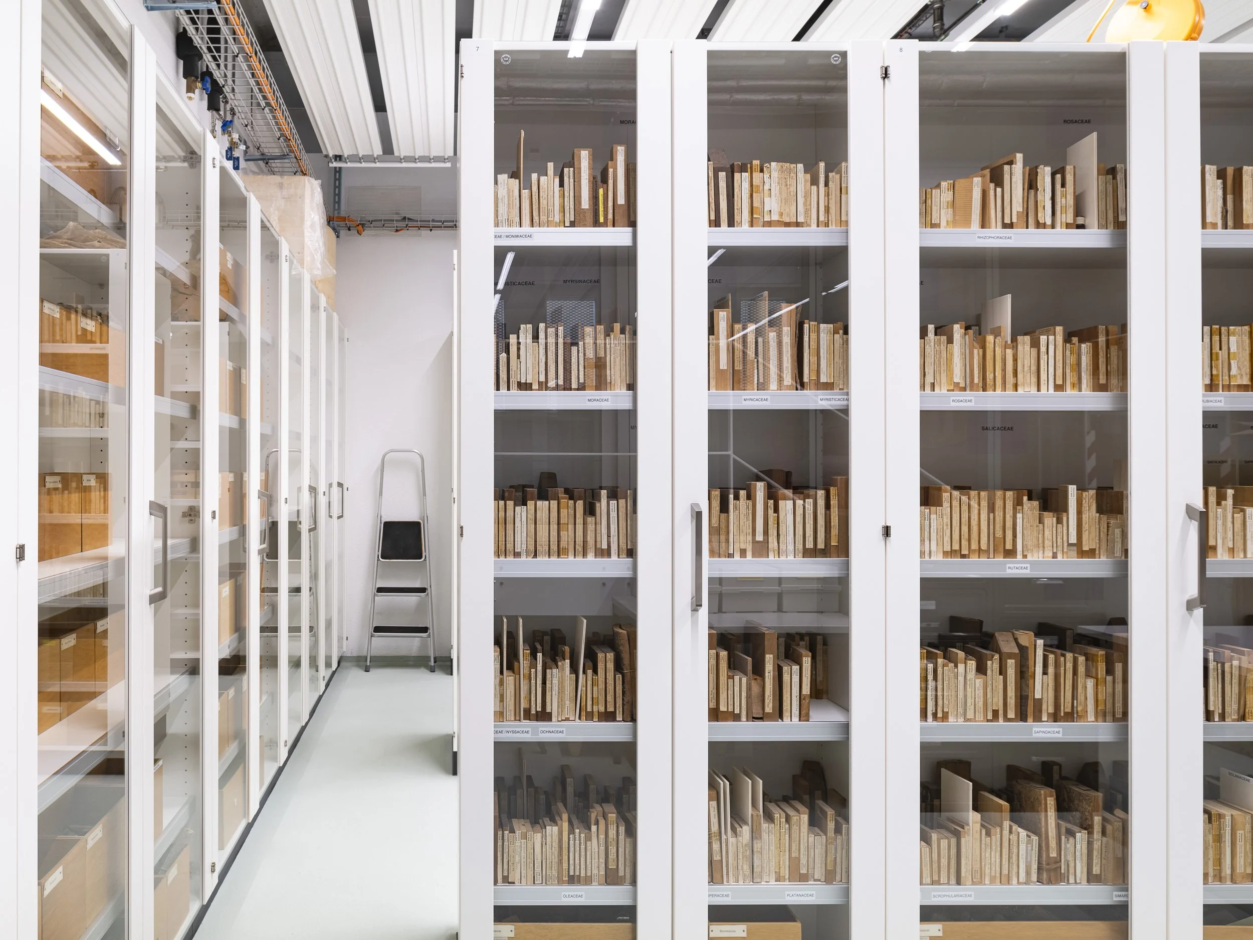 Sammlungen & Archive der ETH Zürich###