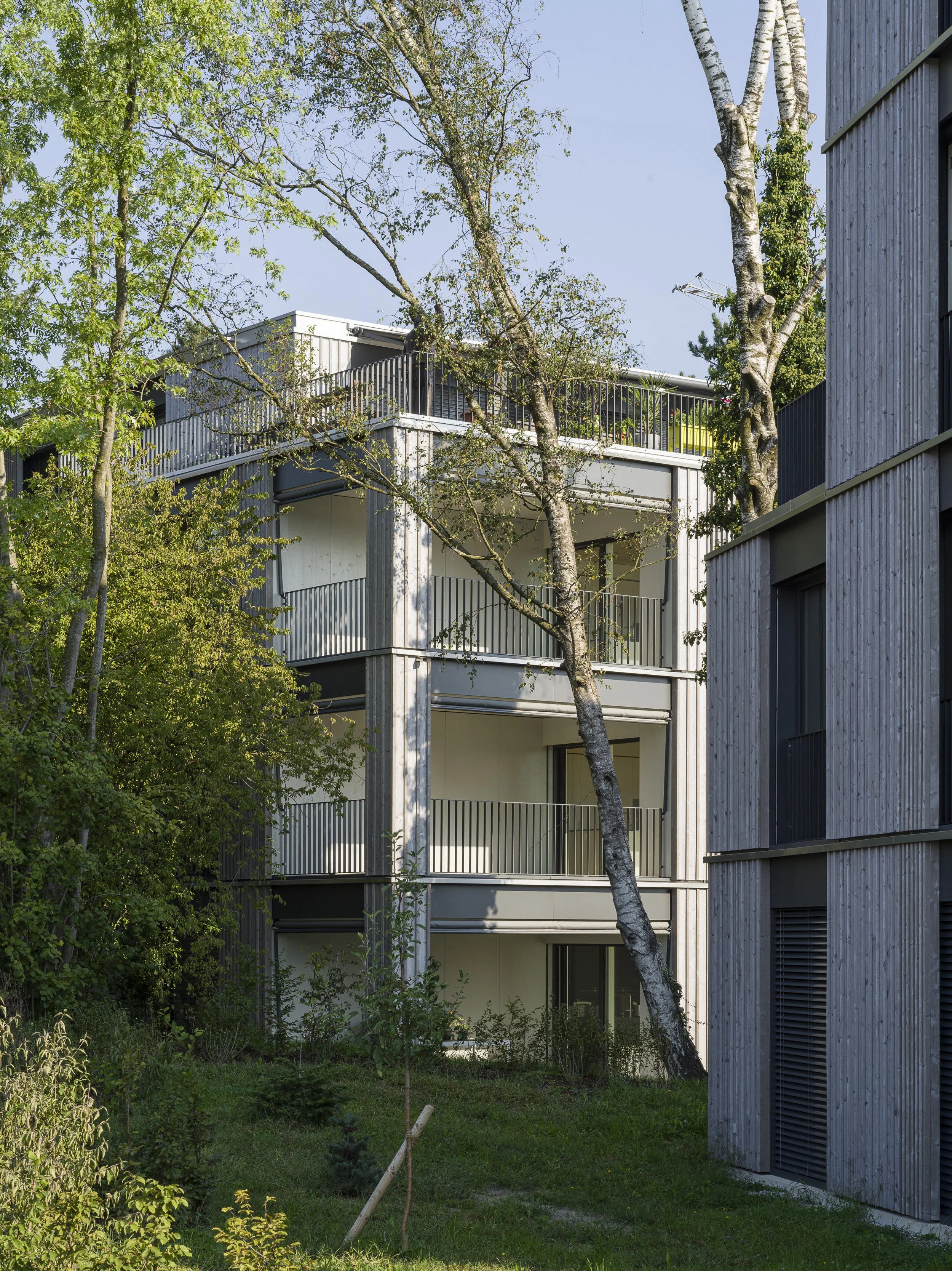 Wohneigentum Salmsach. Jung Berger Architekten. 2023.