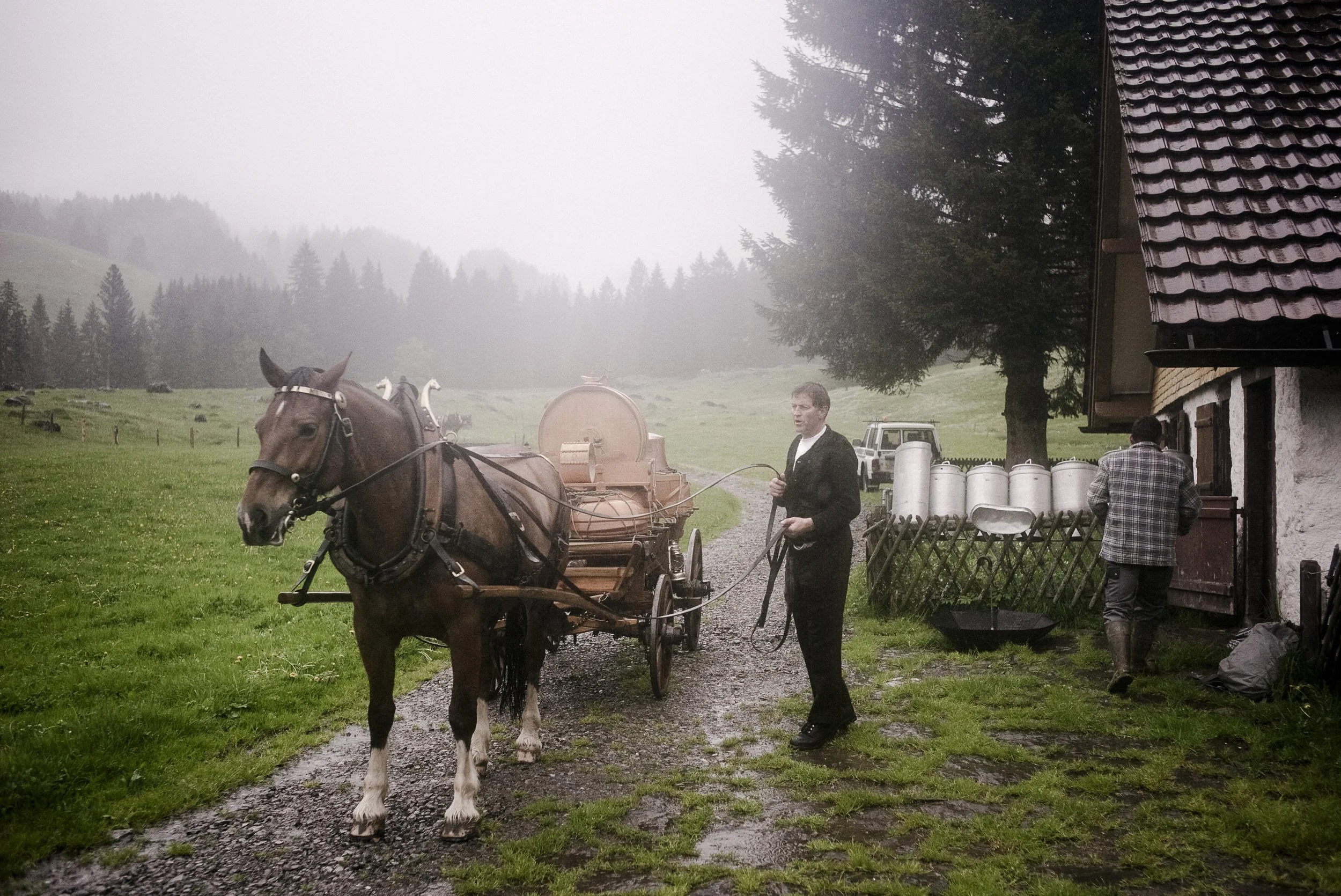 Alpaufzug im Appenzellerland. 2014.