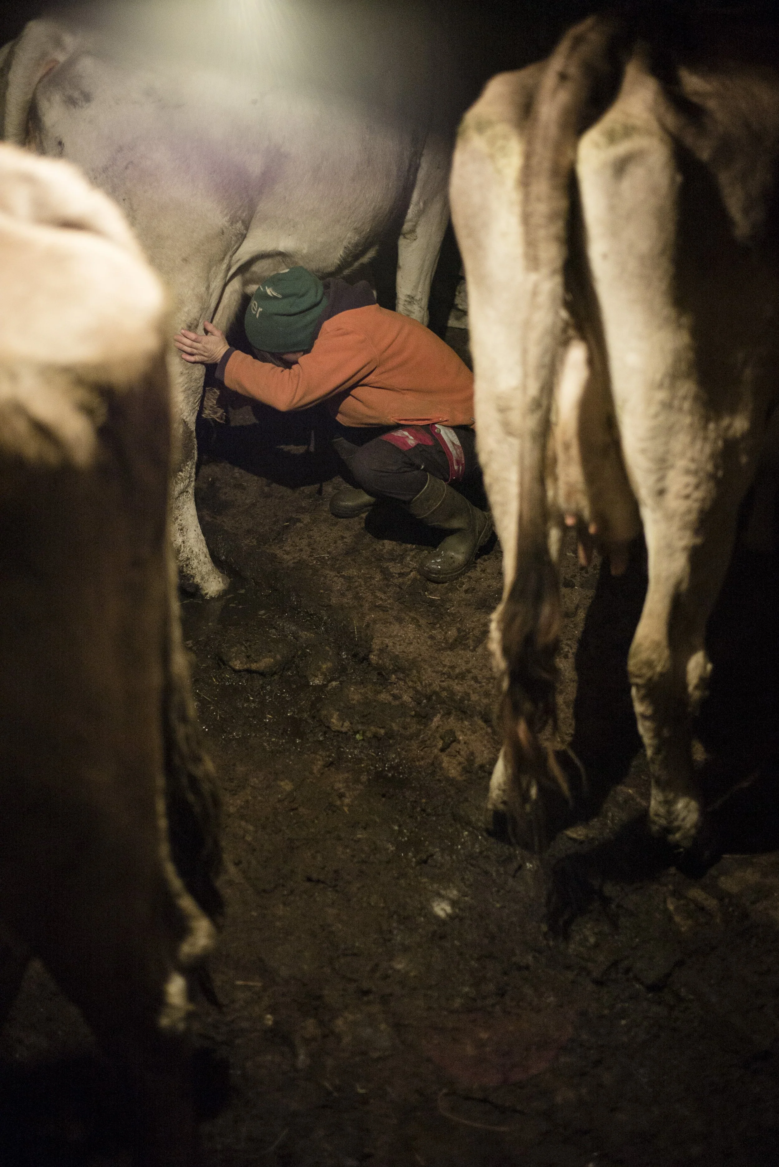 Bergbäuerinnen. 2016.