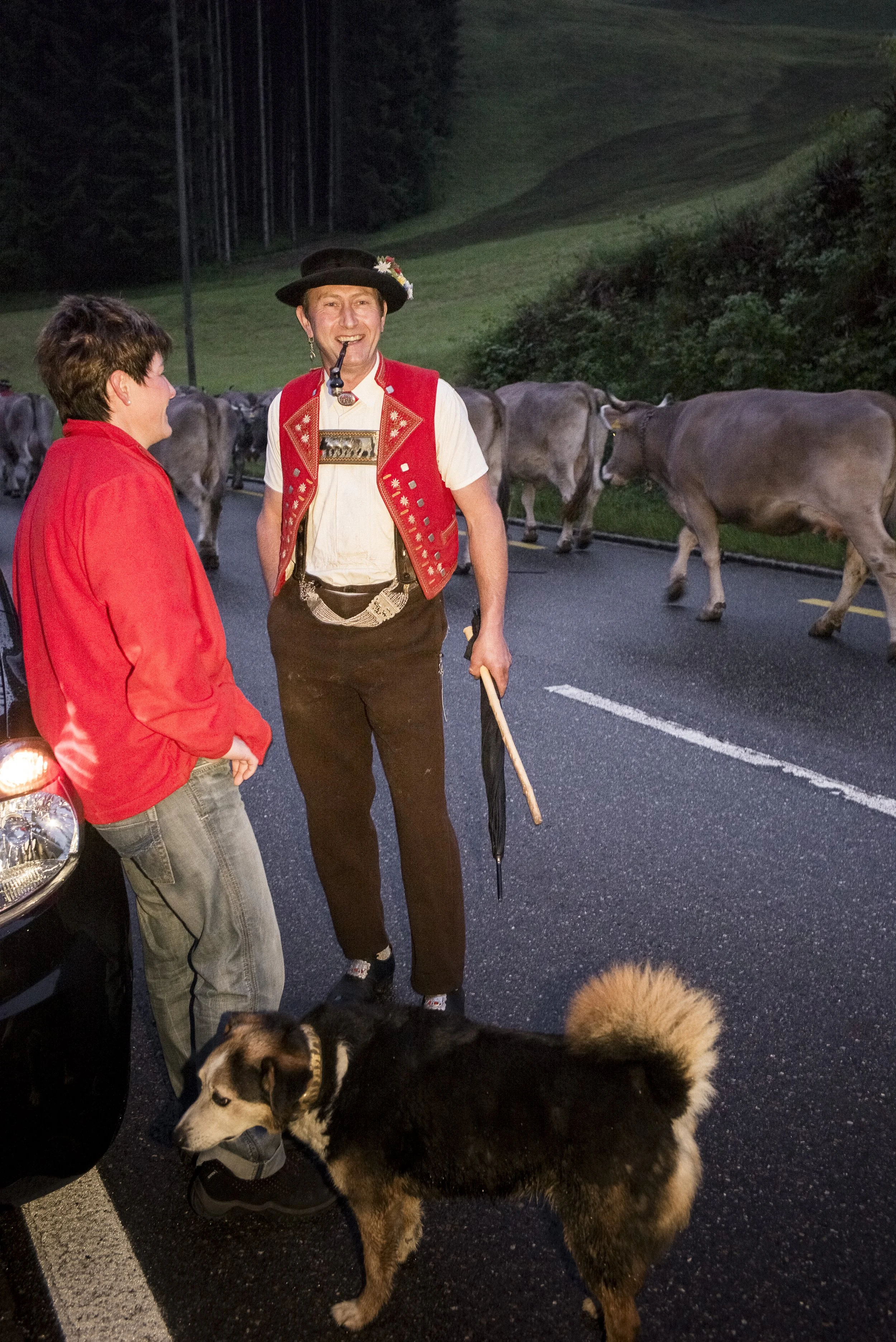 Alpaufzug im Appenzellerland. 2014.
