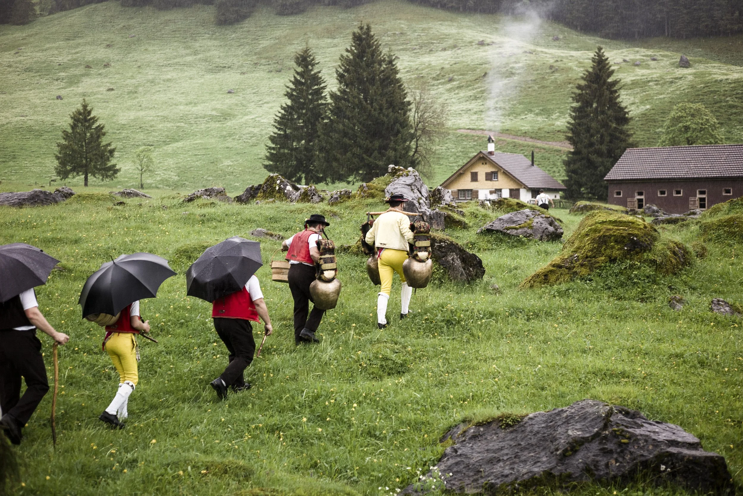 Alpaufzug im Appenzellerland. 2014.