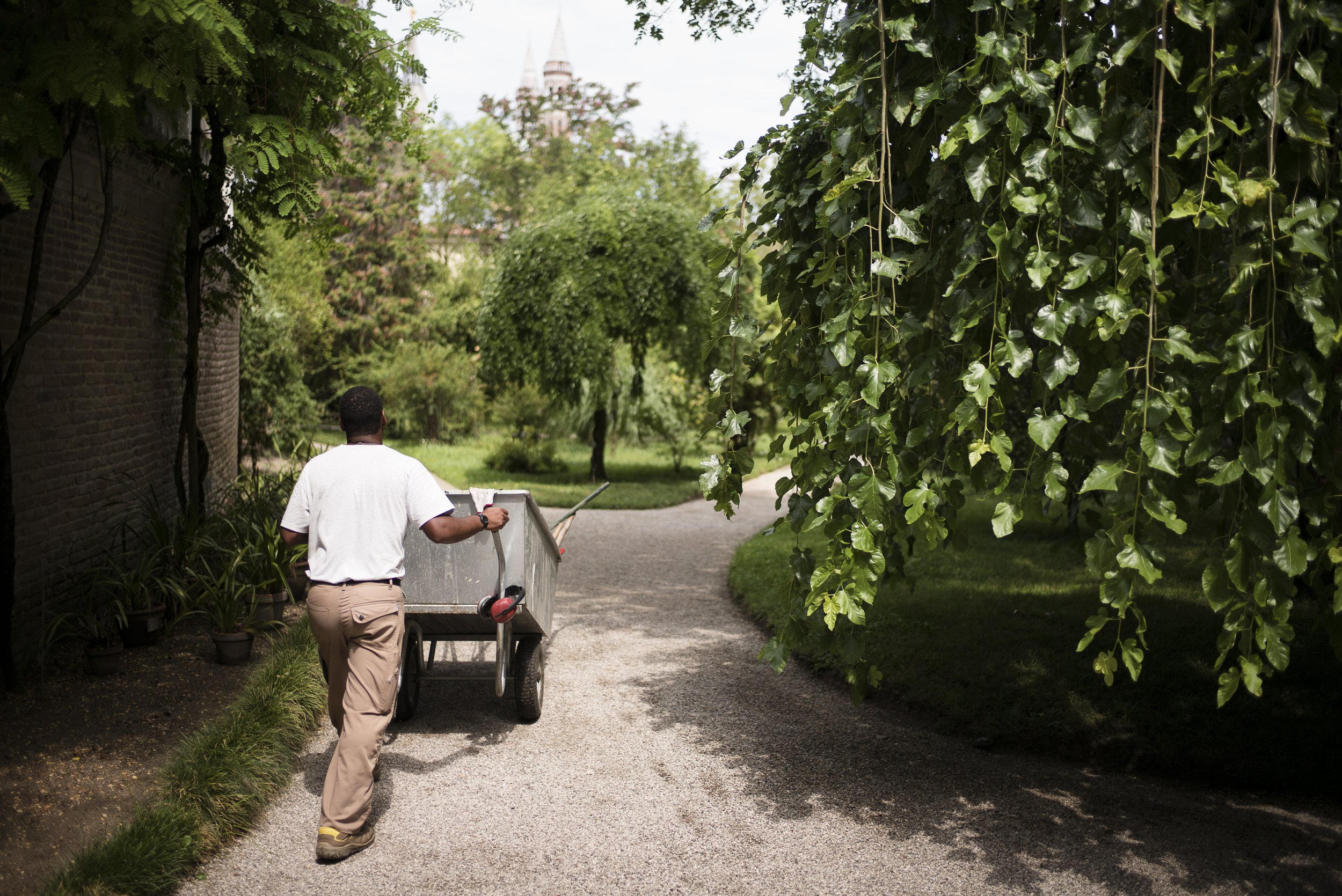 Orto botanico Padova. 2016.