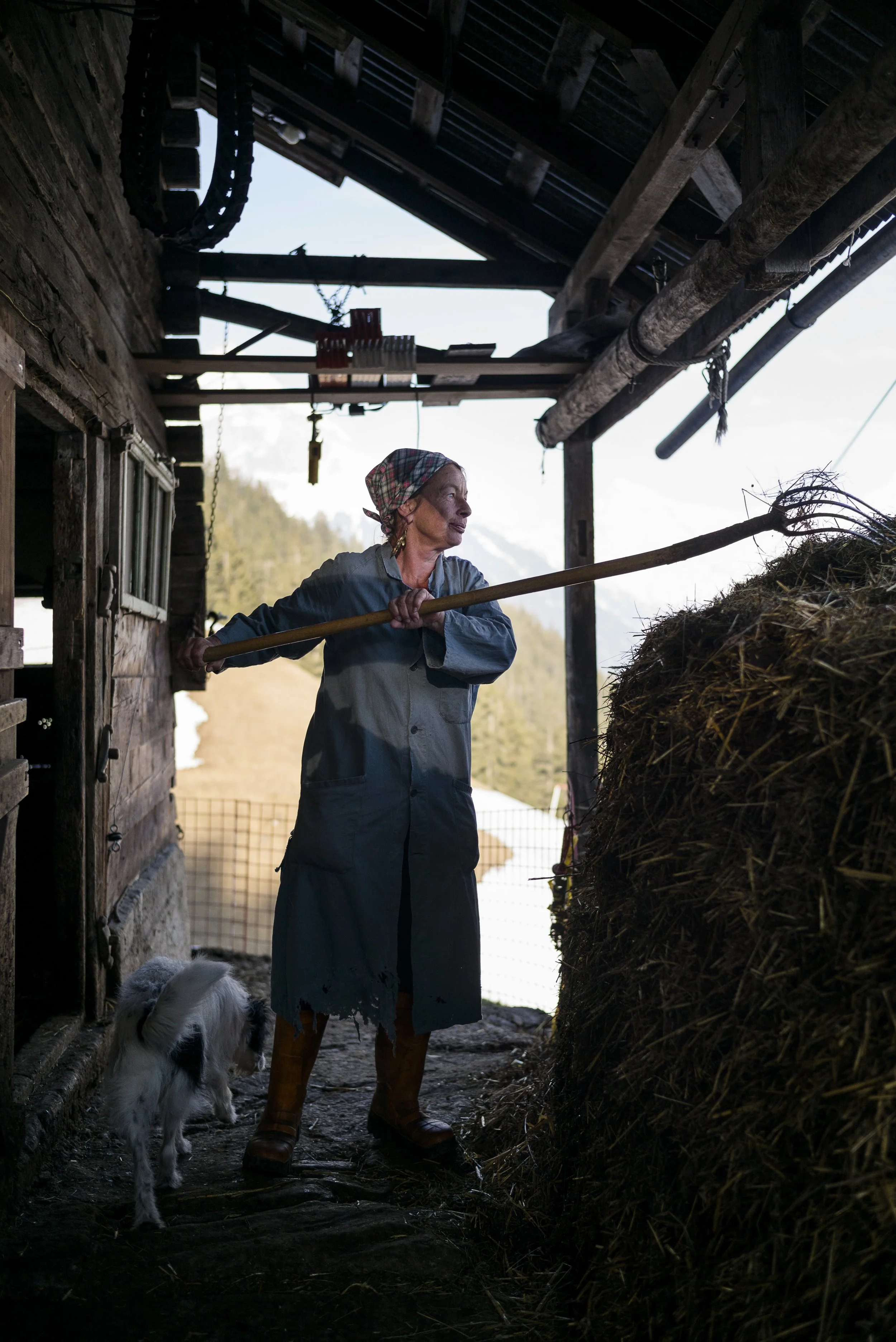 Bergbäuerinnen. 2016.