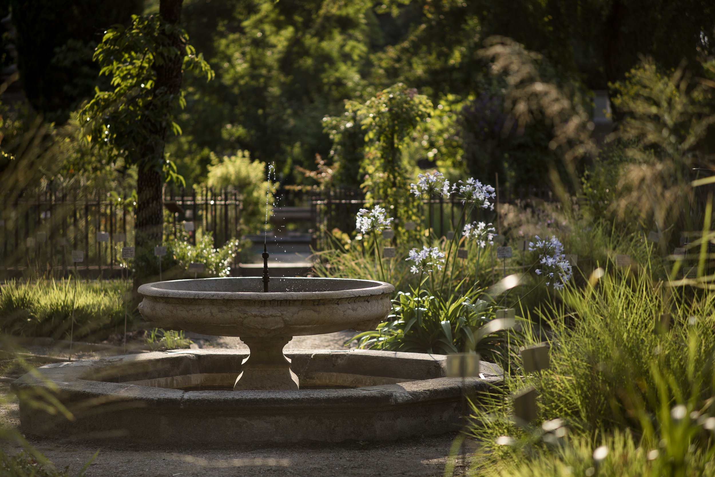 Orto botanico Padova. 2016.