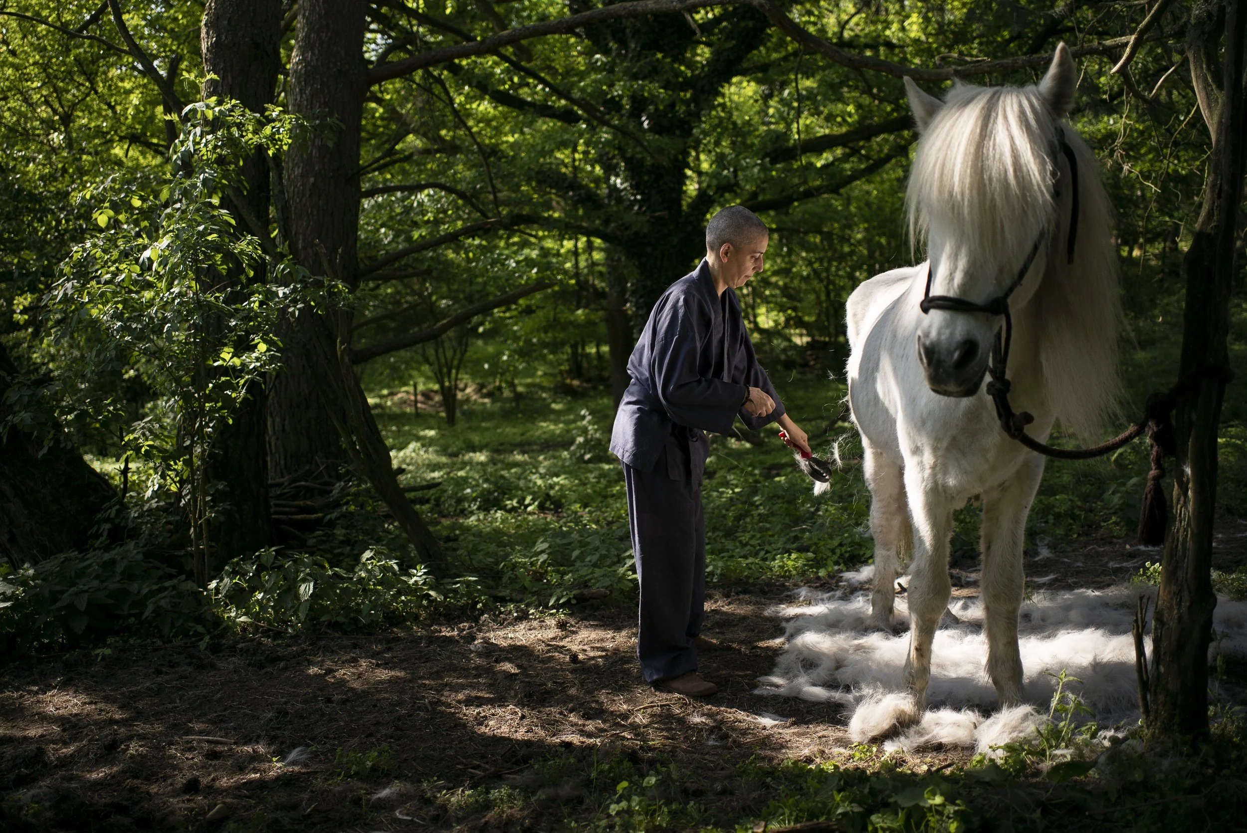 Kloster Ryumon Ji. 2018.