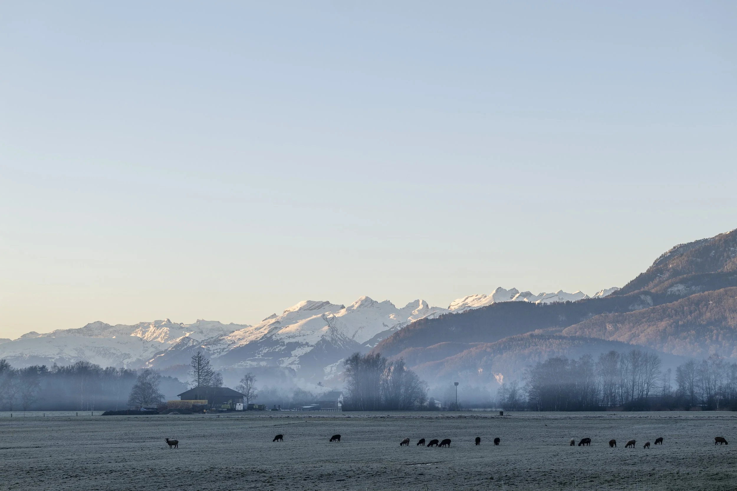 Die Rheinebene im Winter. 2025