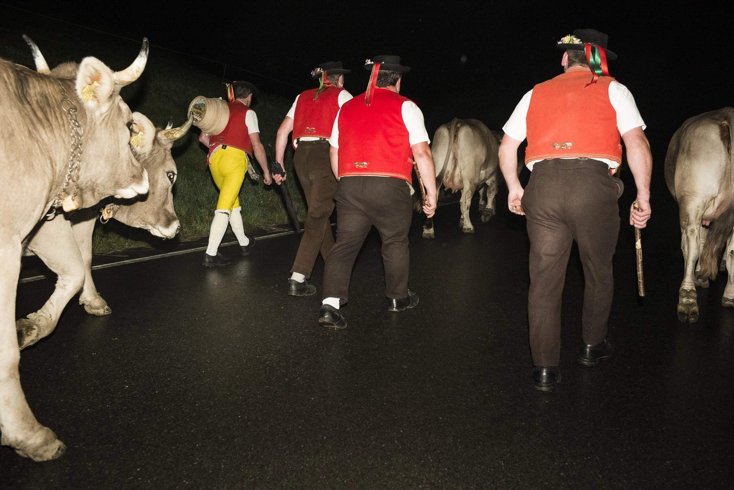 Alpaufzug im Appenzellerland. 2014.