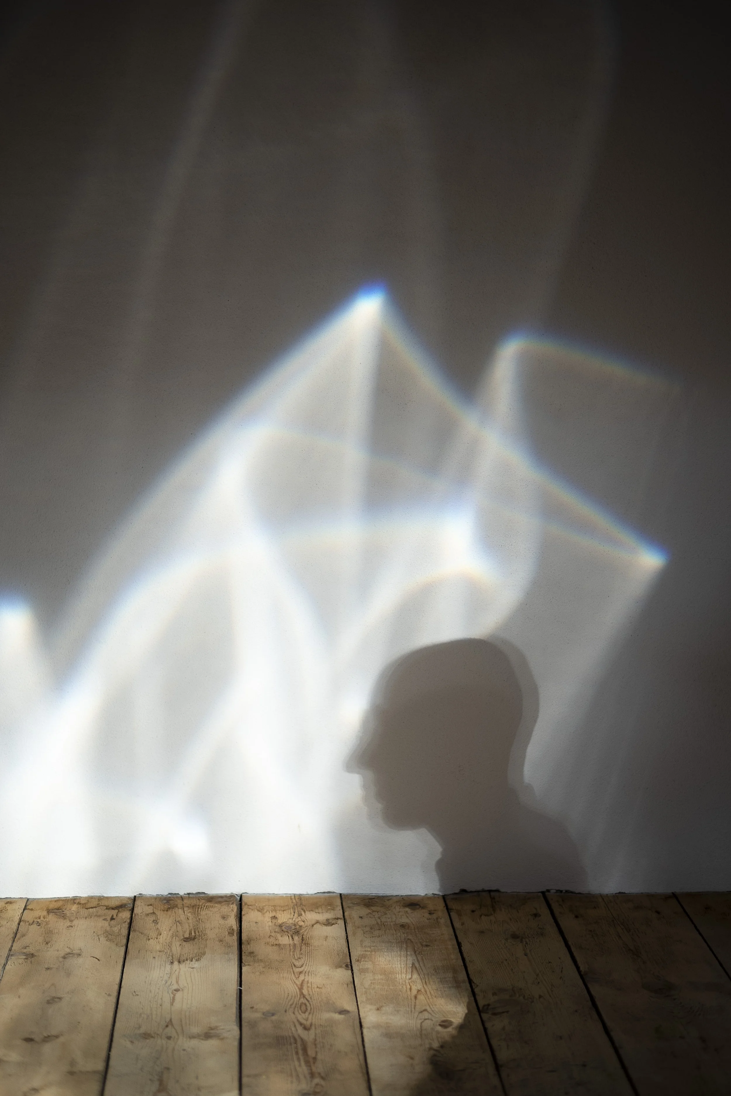 Il miracolo blu. 2018.