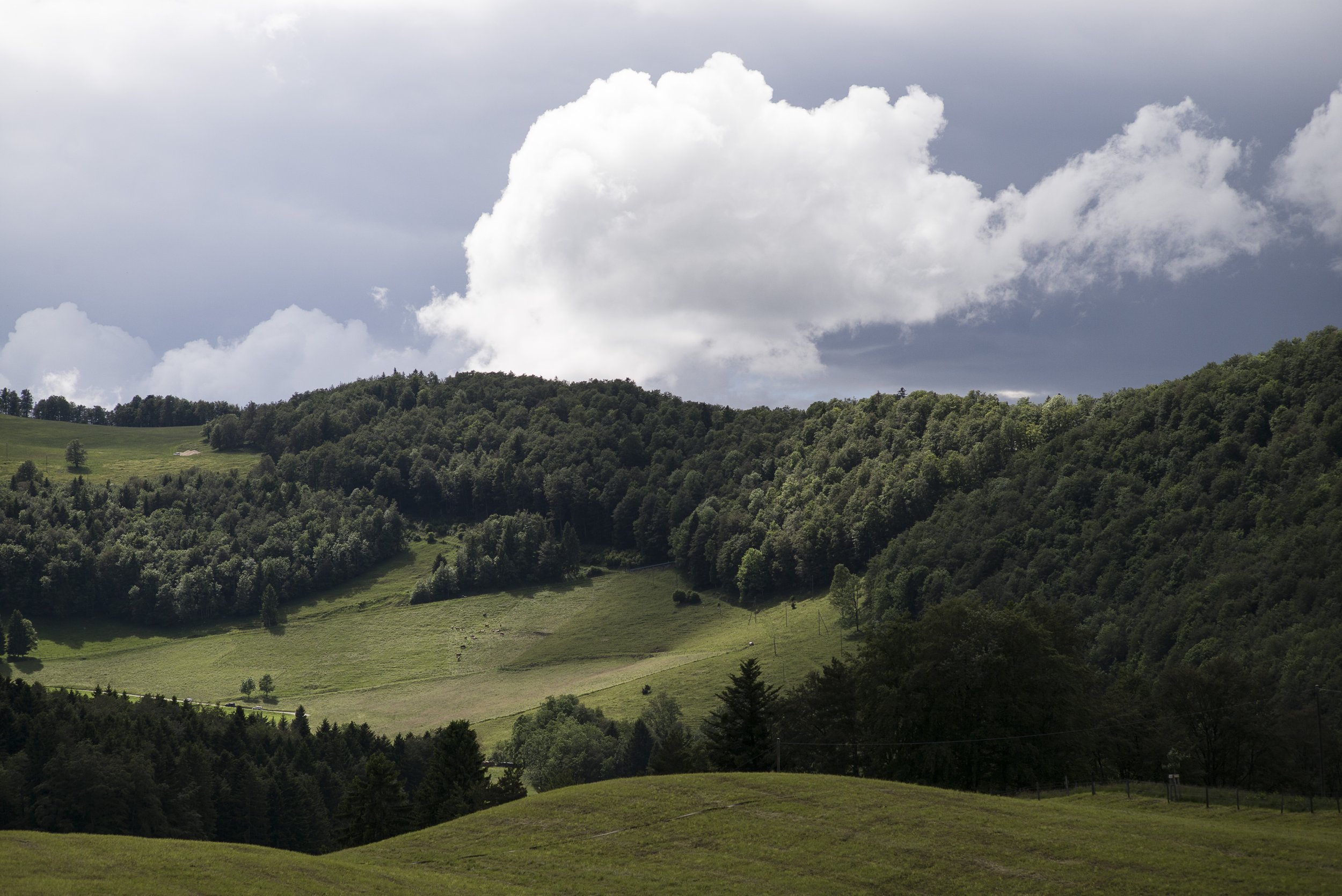 Bergbäuerinnen. 2016.