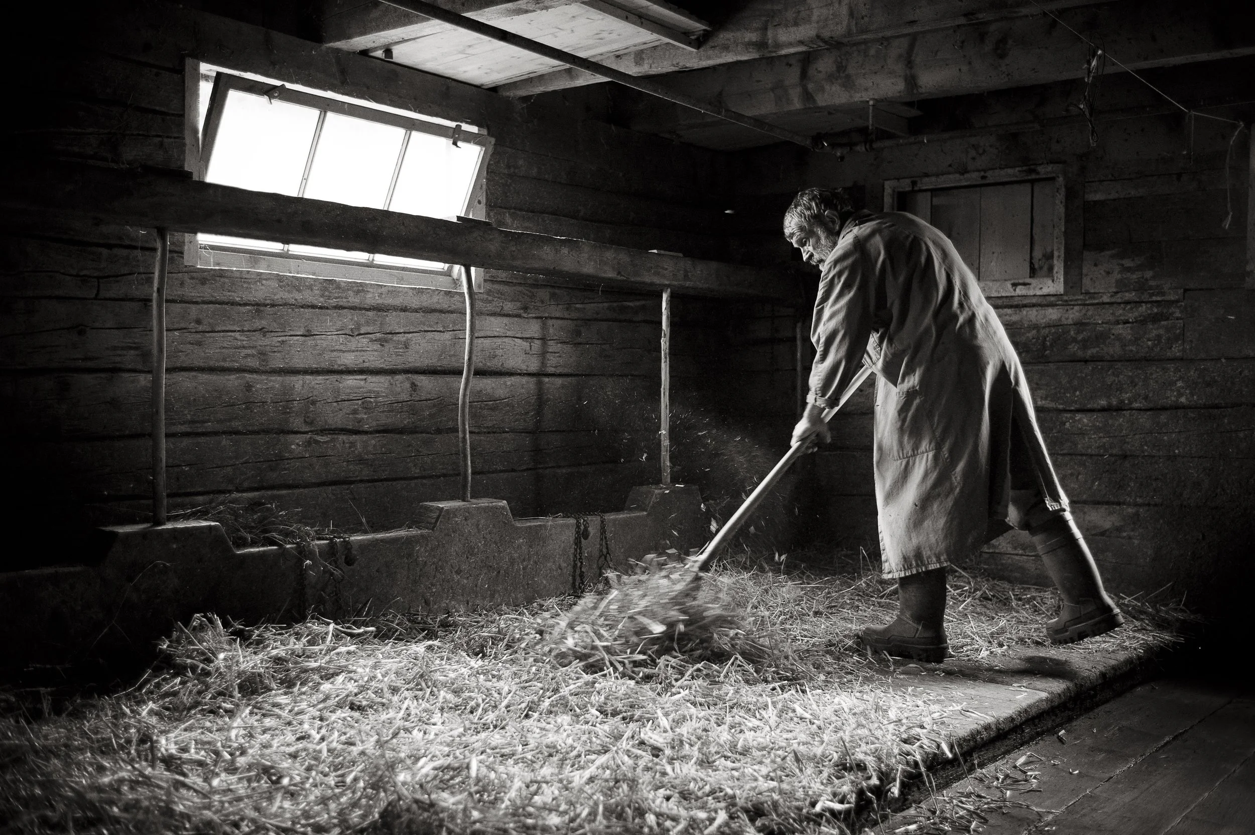 Bergmilch Toggenburg. 2013.