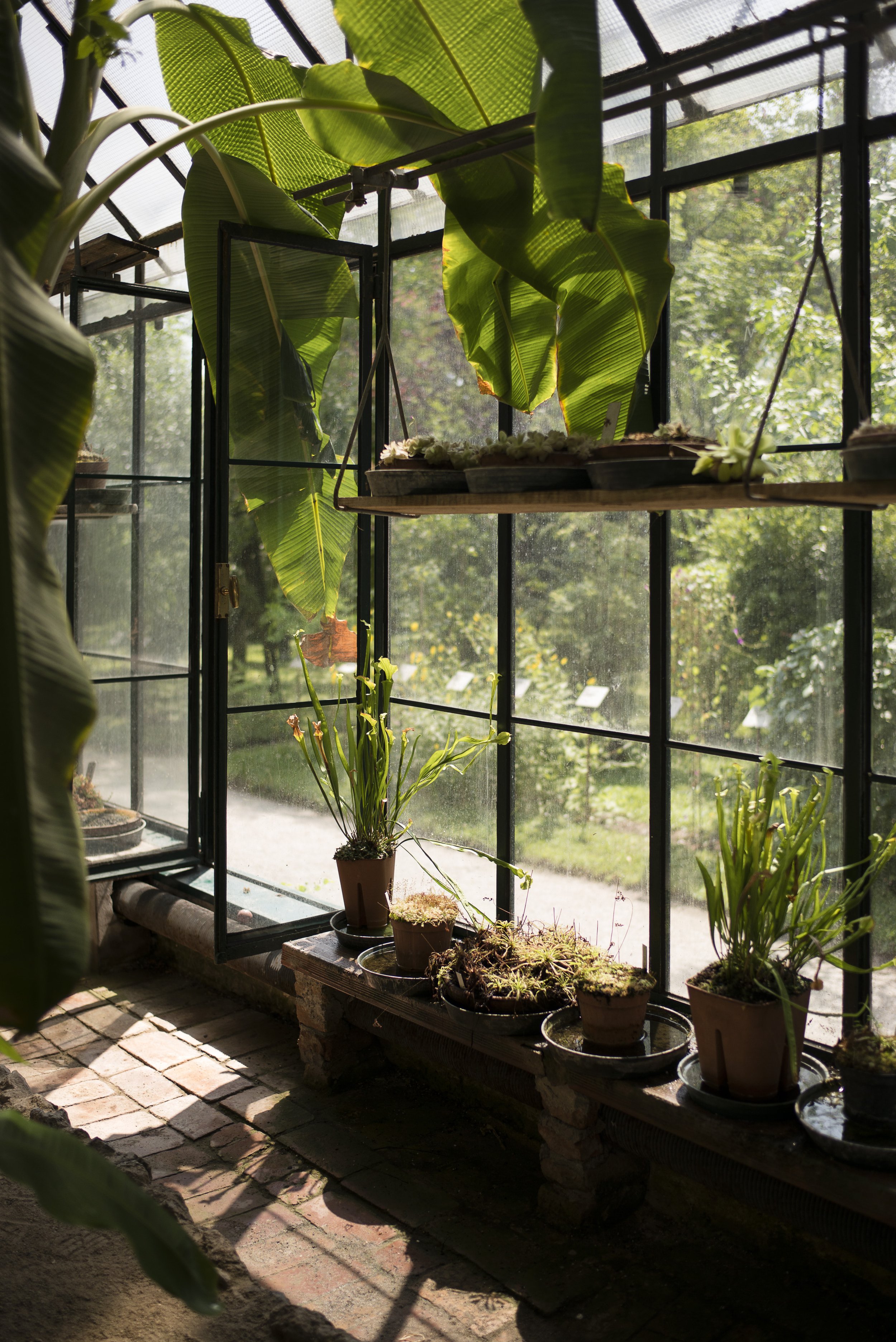 Orto botanico Padova. 2016.