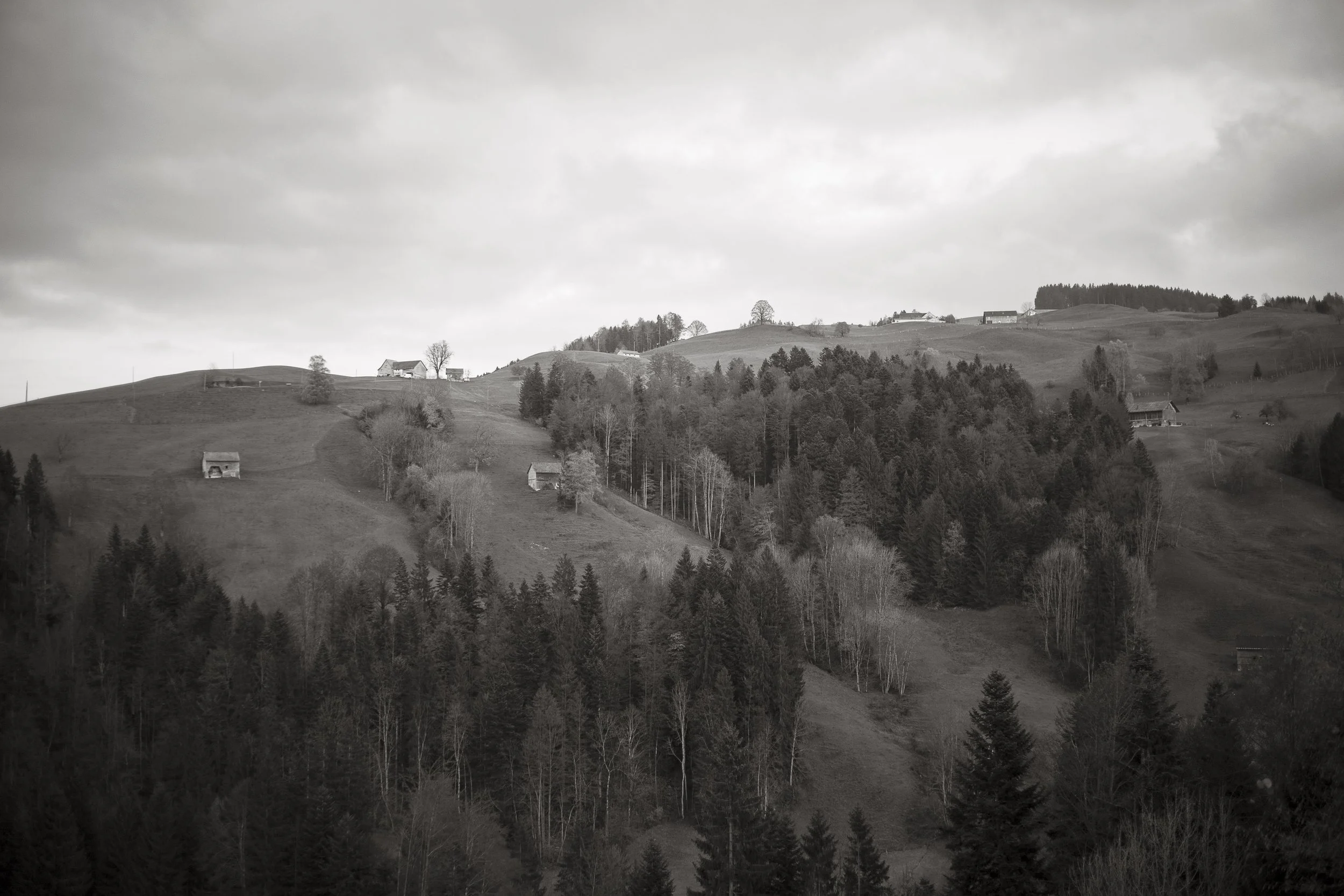 Der Klang der Schindeln. 2016.