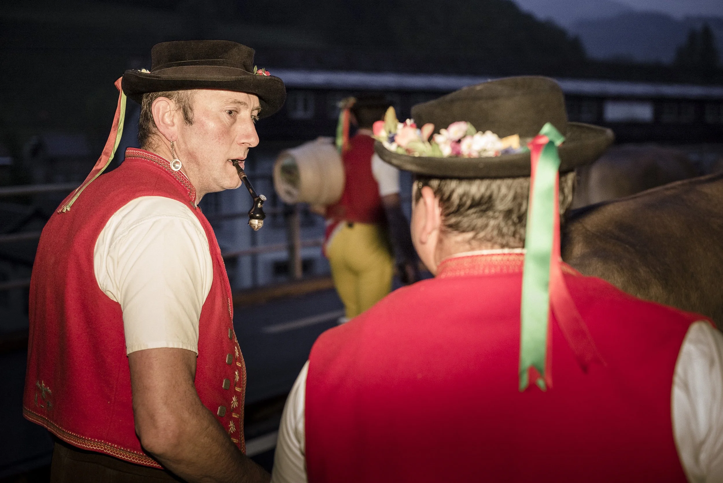 Alpaufzug im Appenzellerland. 2014.
