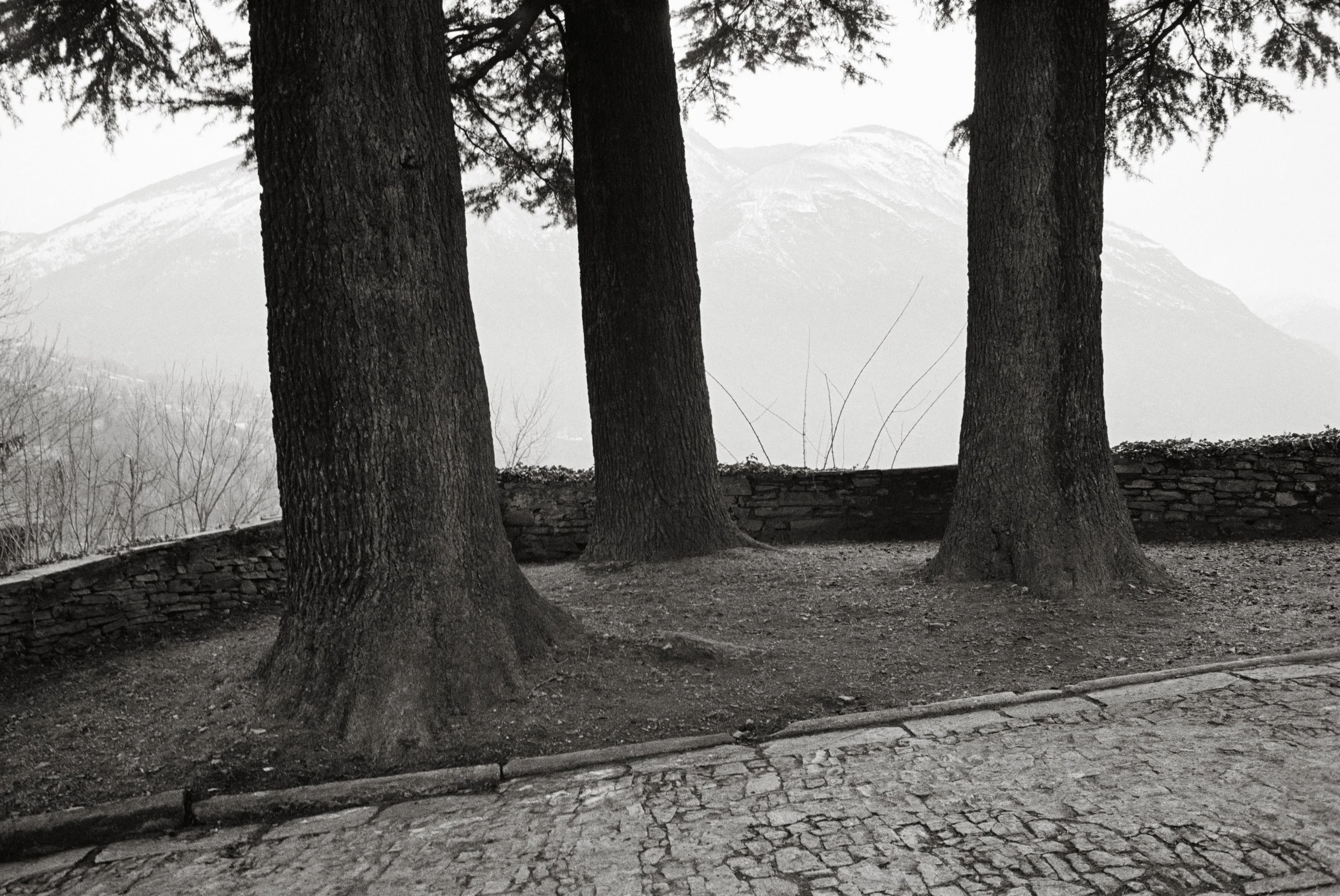 Rast. 2014. 80 x 120 cm. Silbergelatine Barytabzug.