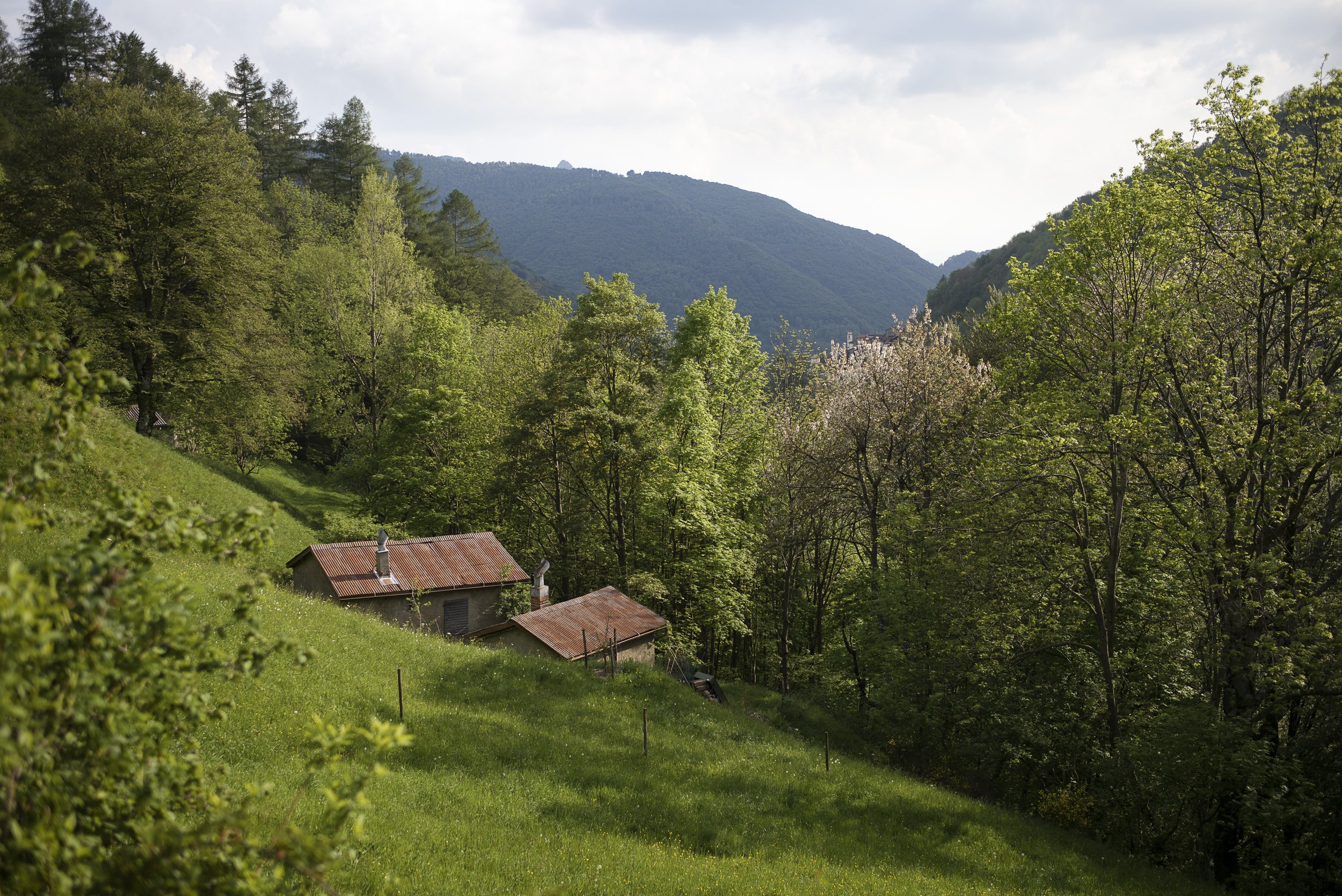 Bergbäuerinnen. 2016.
