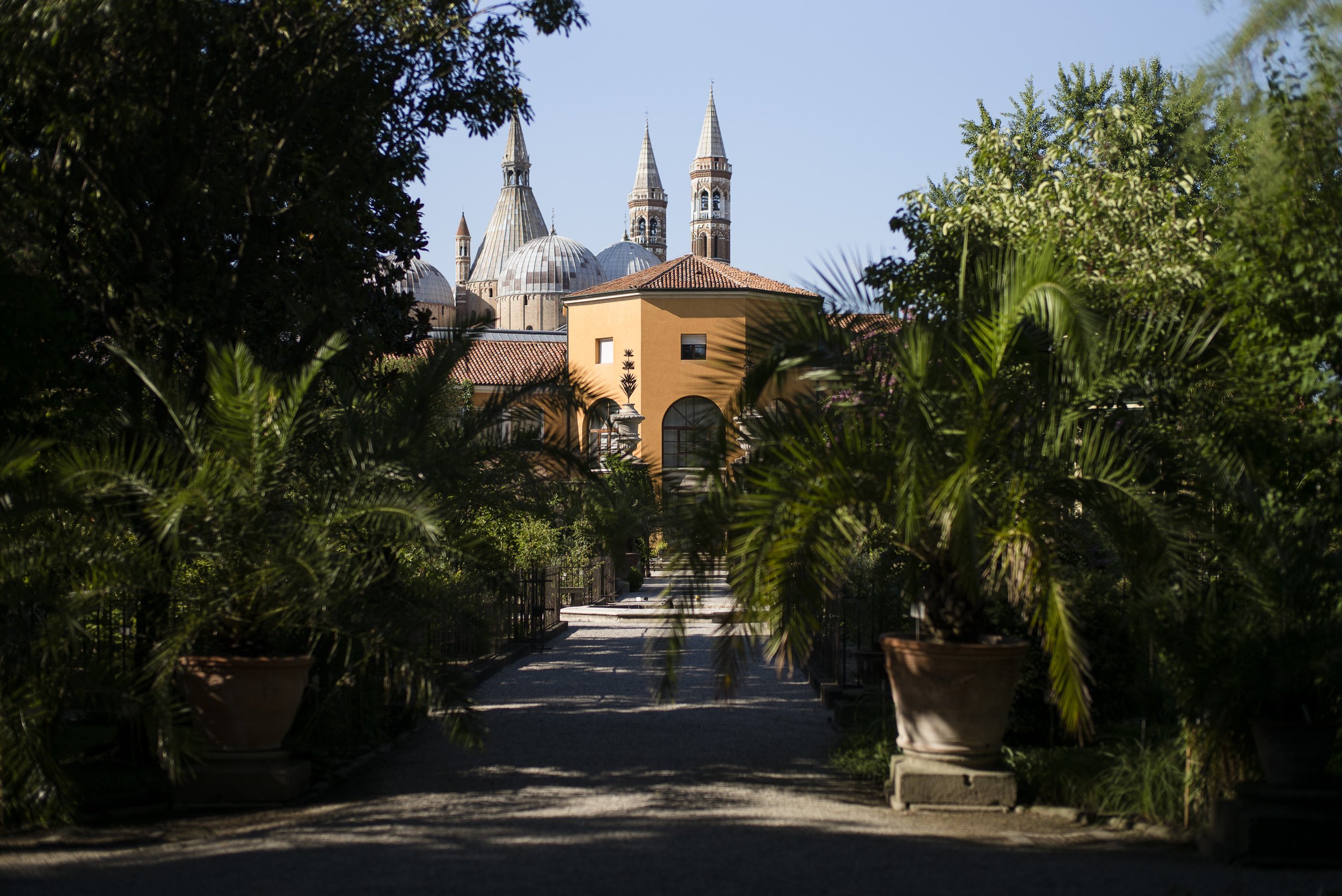 Orto botanico Padova. 2016.