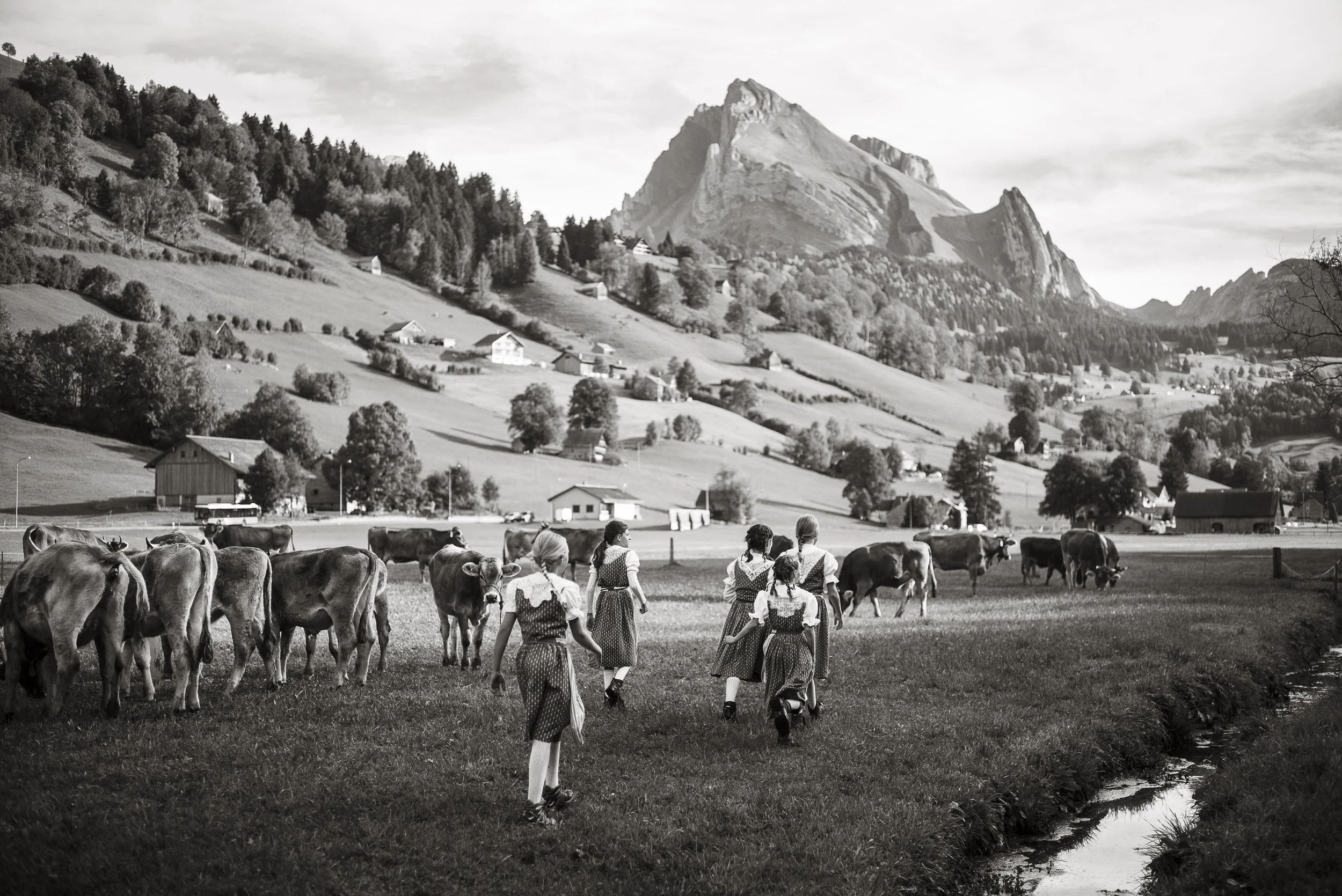 Viehschau in Alt St. Johann. 2015.