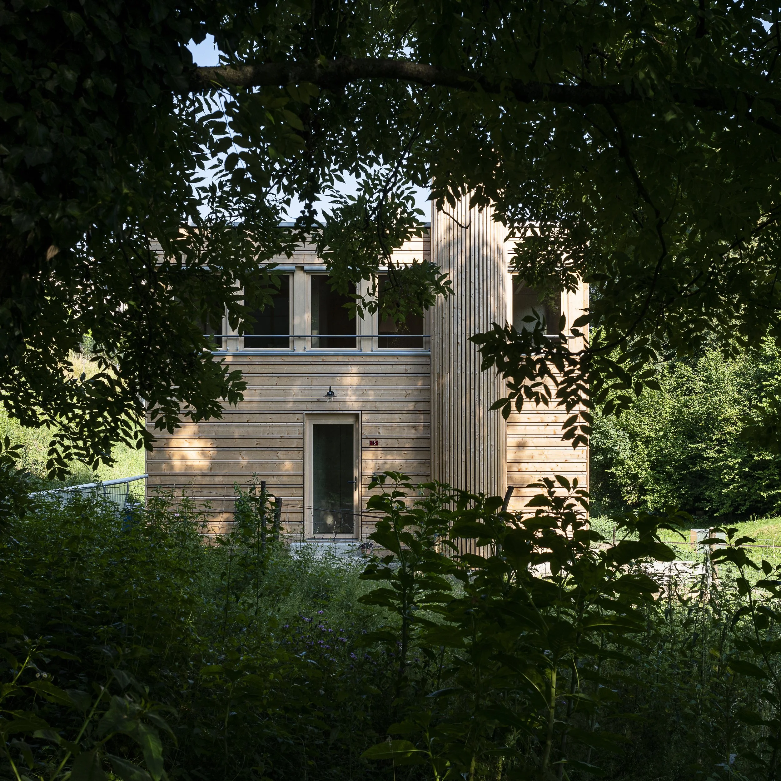 Architektur - Fotografie###