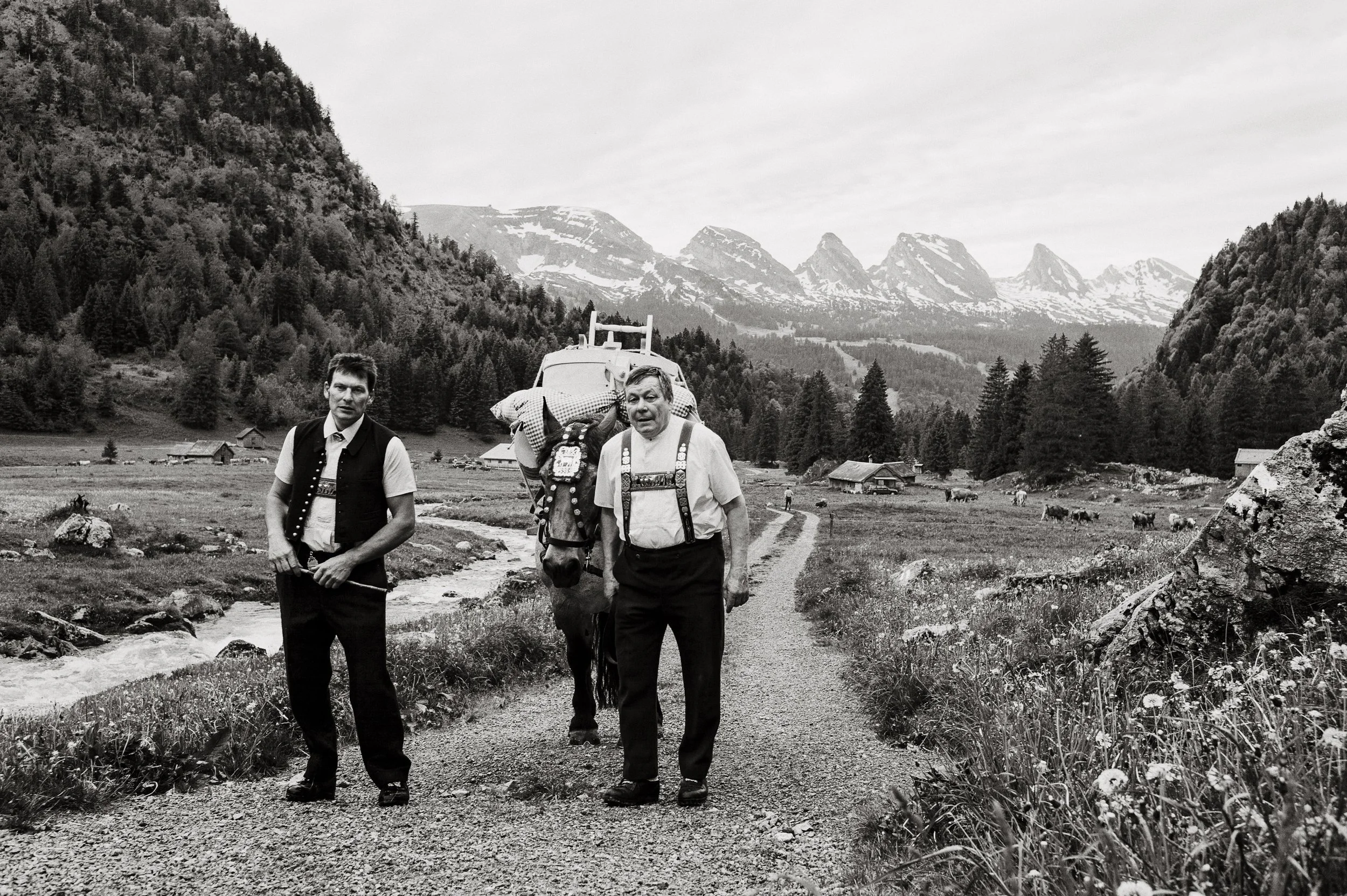 Alpaufzug im Toggenburg. 2012.