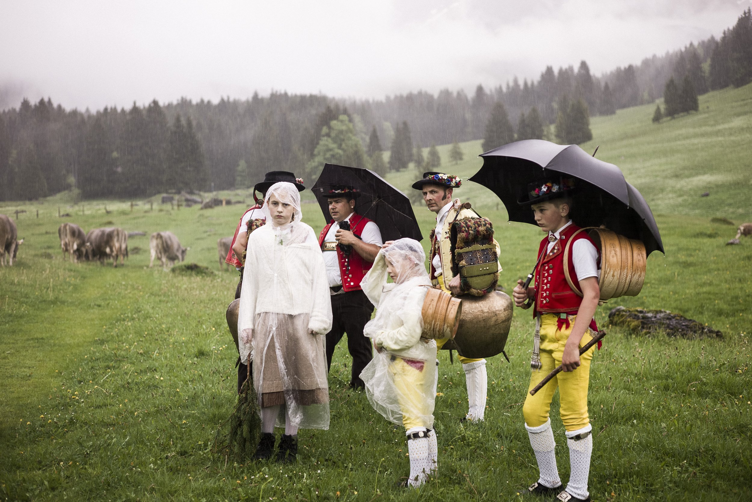 Alpaufzug im Appenzellerland. 2014.