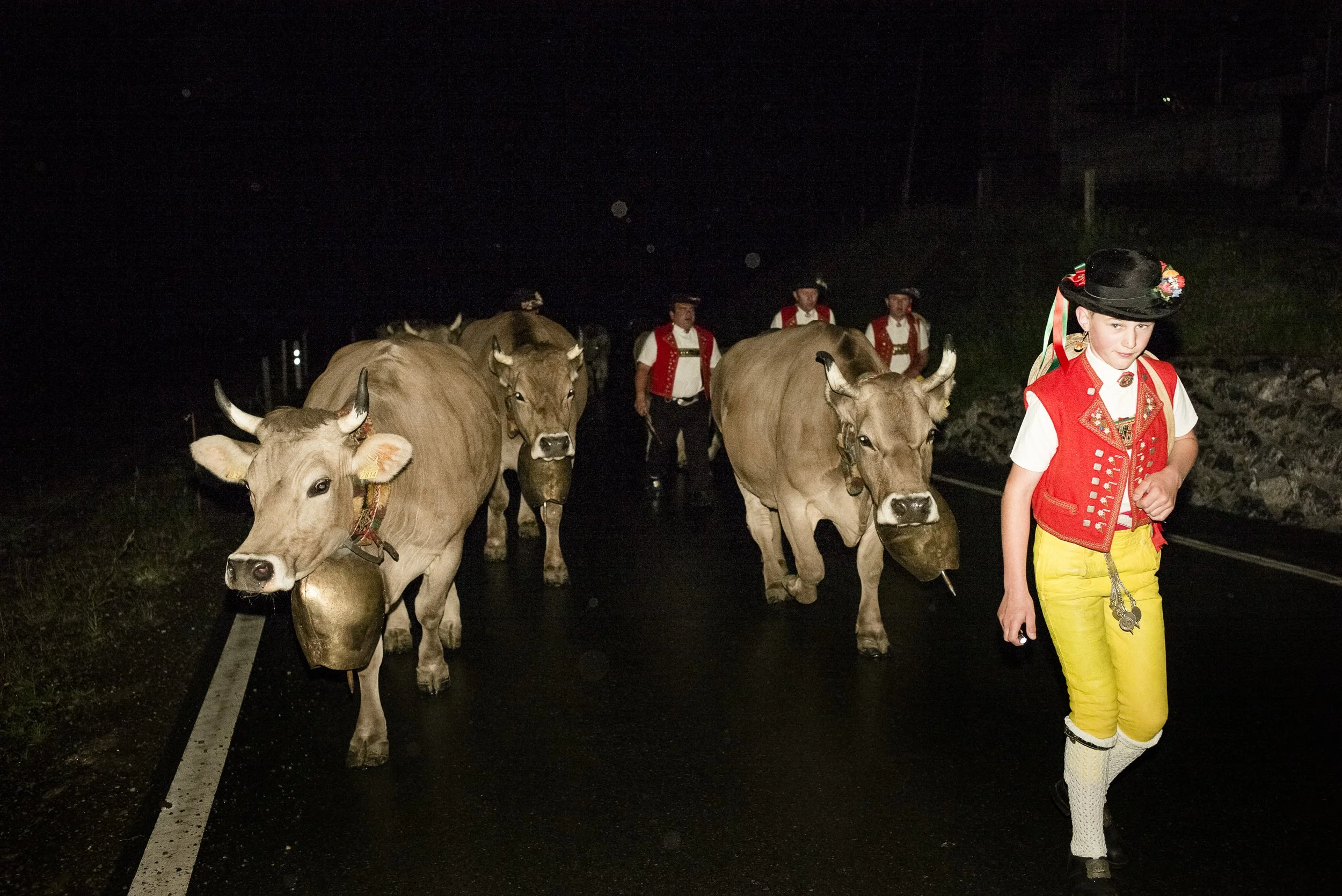 Alpaufzug im Appenzellerland. 2014.