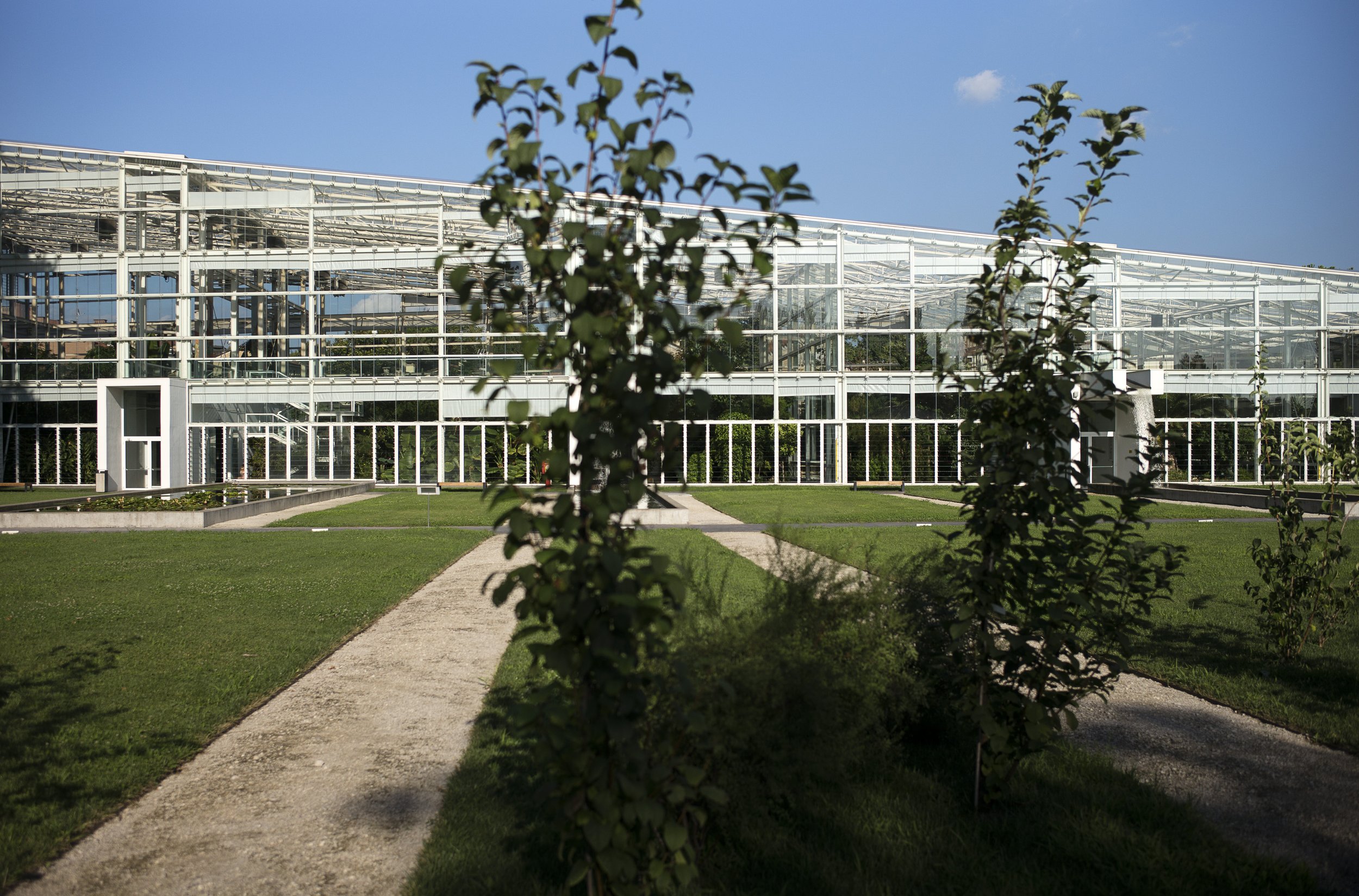 Orto botanico Padova. 2016.