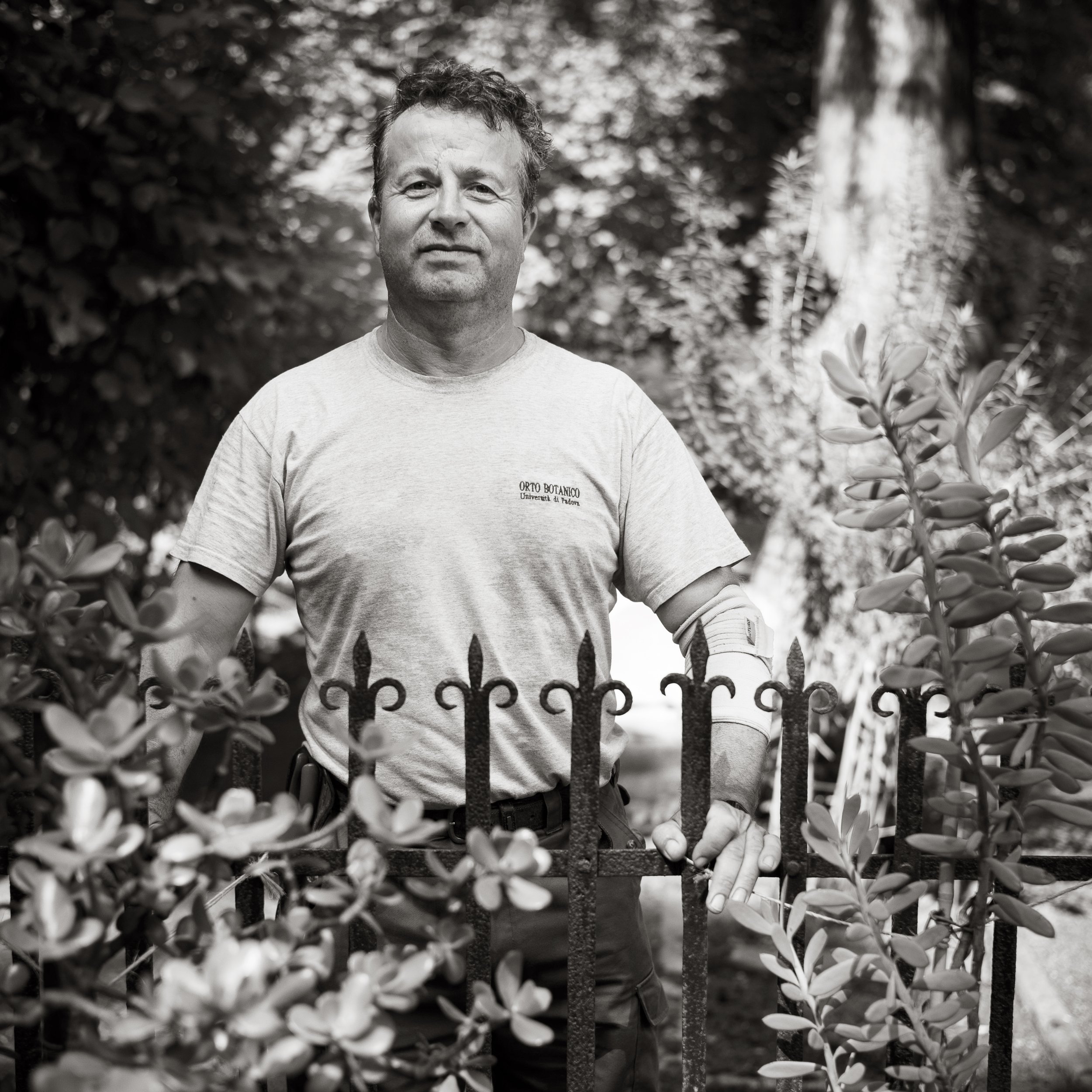Orto botanico Padova. 2016.